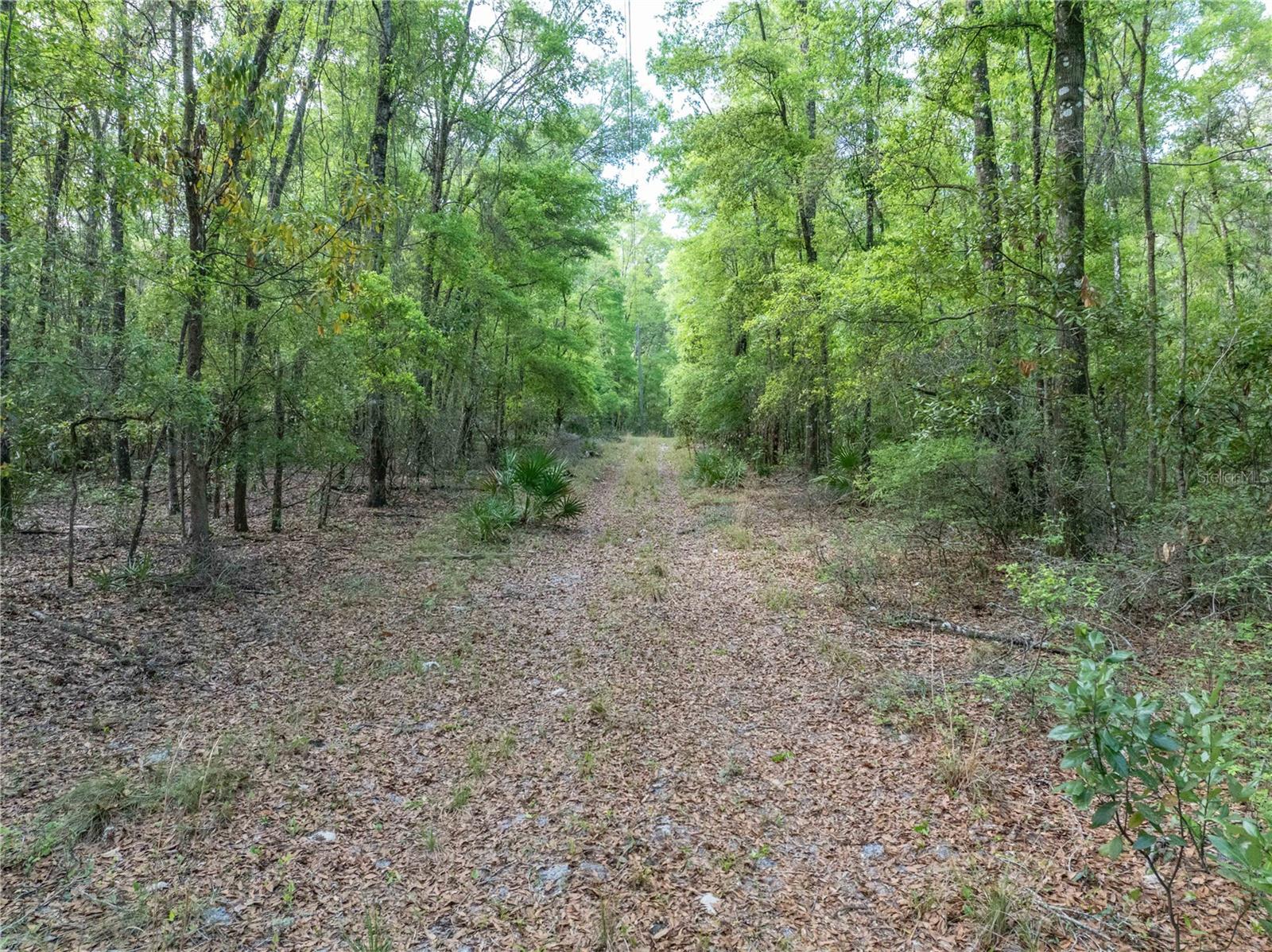 290 SW RATTLESNAKE GLN, FORT WHITE, FL, 32038