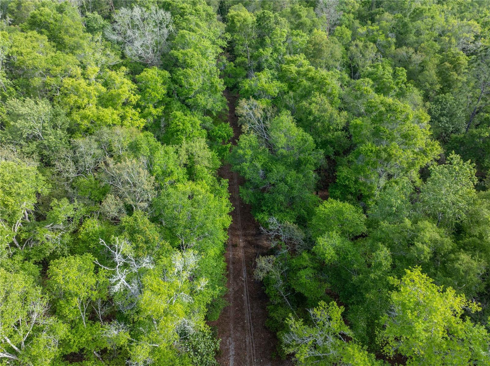 290 SW RATTLESNAKE GLN, FORT WHITE, FL, 32038