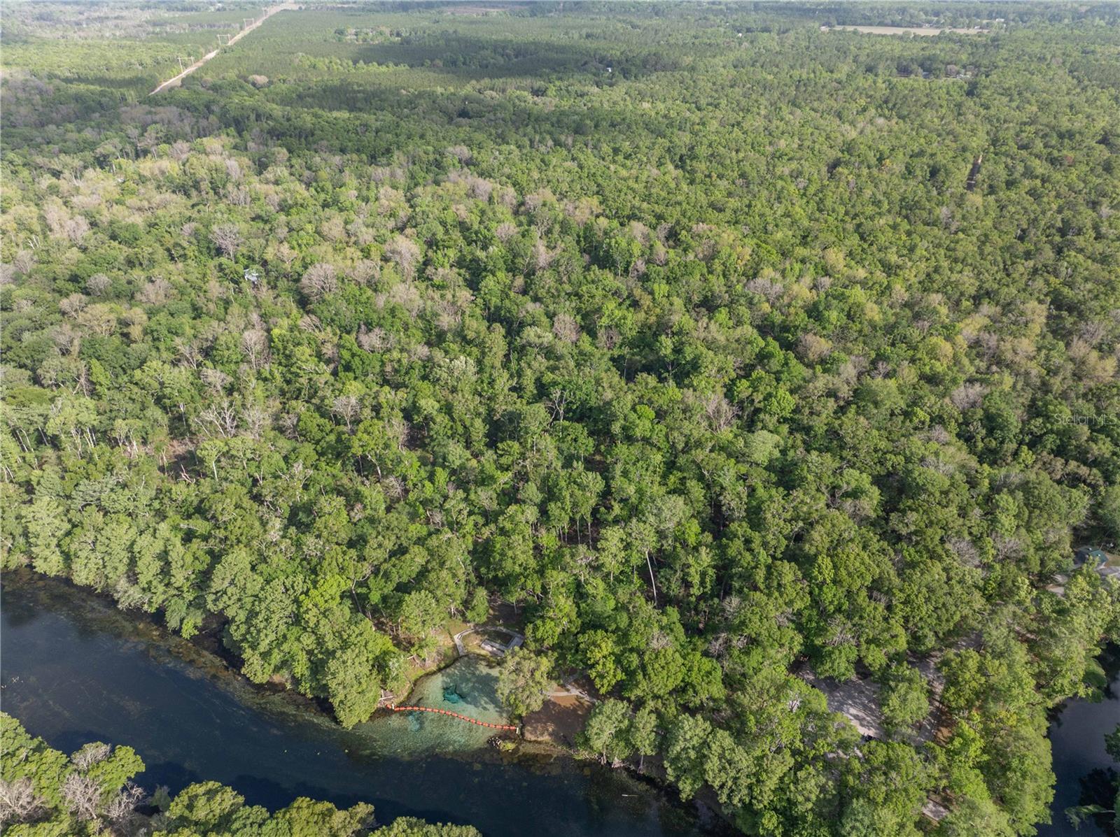 290 SW RATTLESNAKE GLN, FORT WHITE, FL, 32038