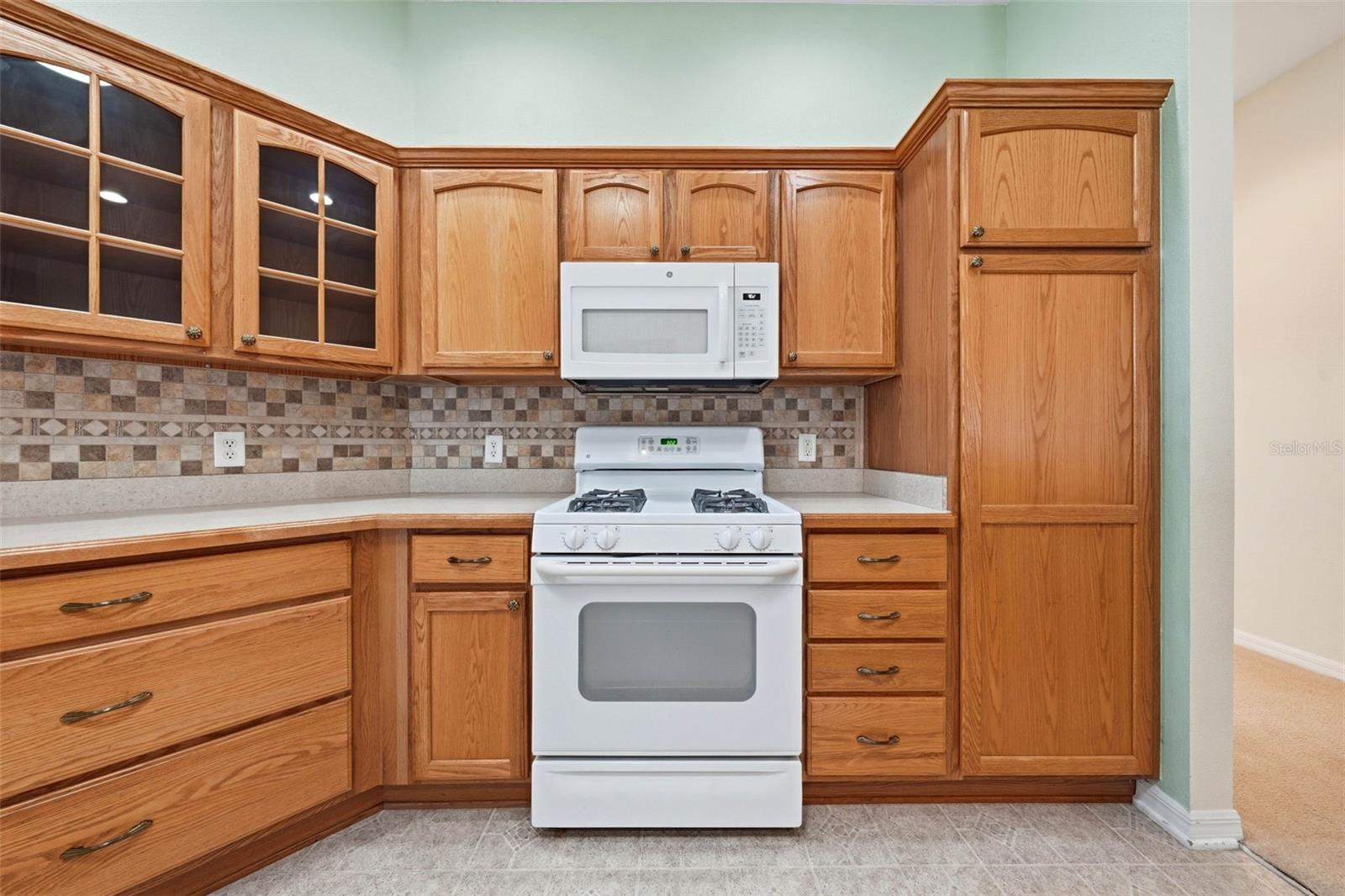 1627 KENSINGTON PL, THE VILLAGES, FL, 32162