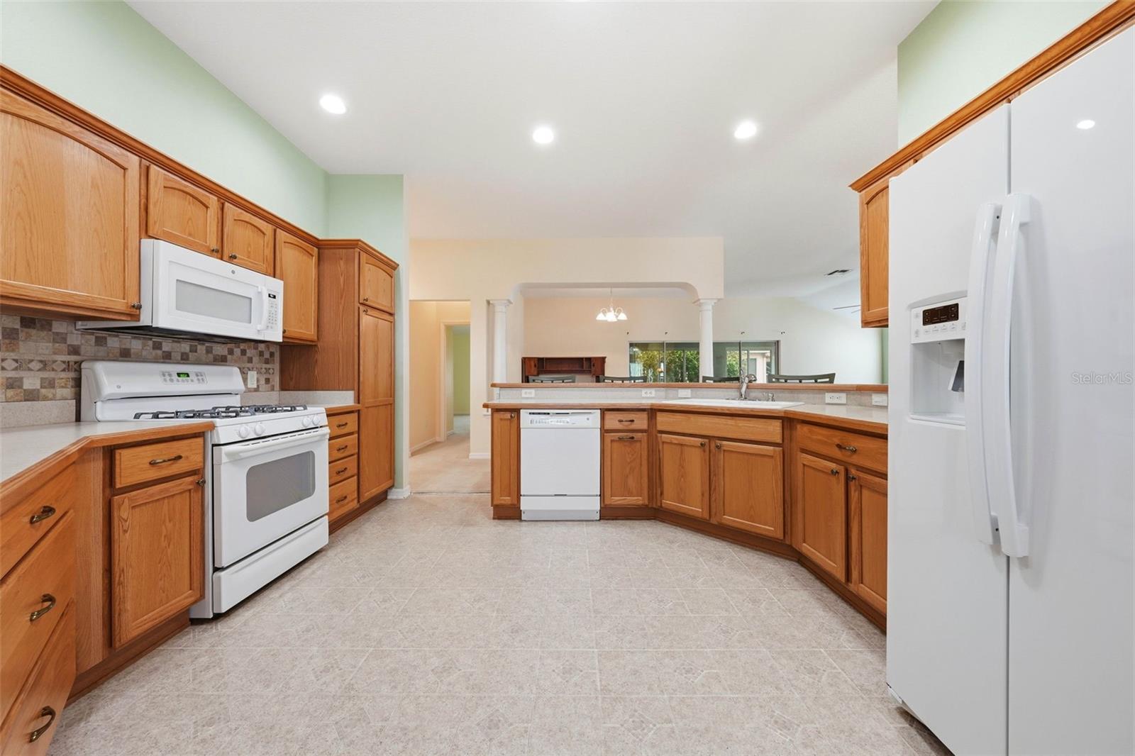 1627 KENSINGTON PL, THE VILLAGES, FL, 32162