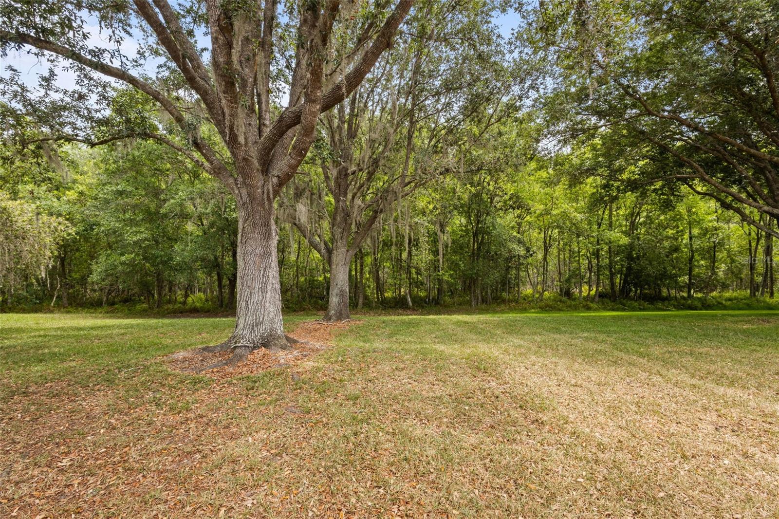 18543 BITTERN AVE, LUTZ, FL, 33558