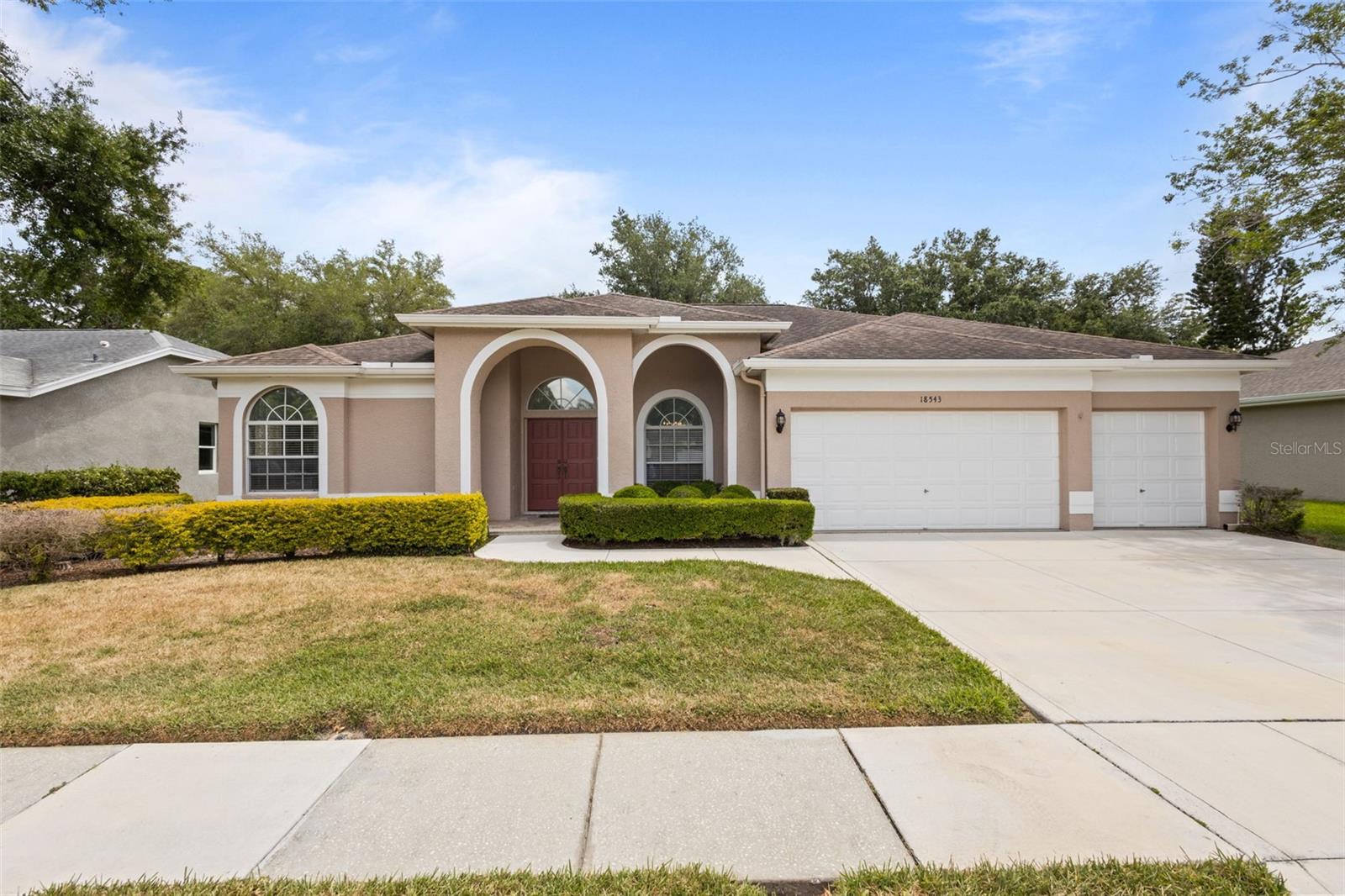 18543 BITTERN AVE, LUTZ, FL, 33558