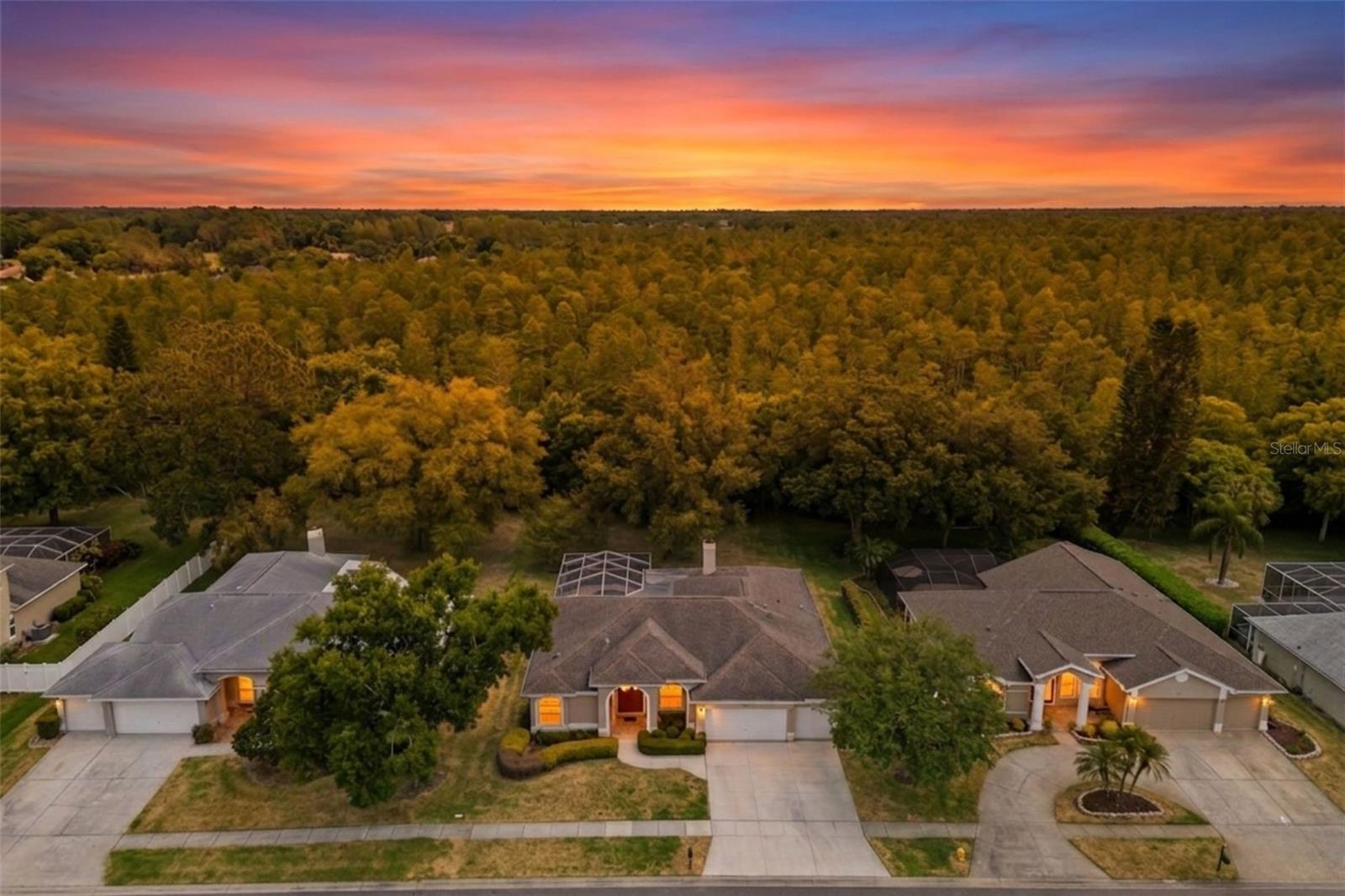 18543 BITTERN AVE, LUTZ, FL, 33558