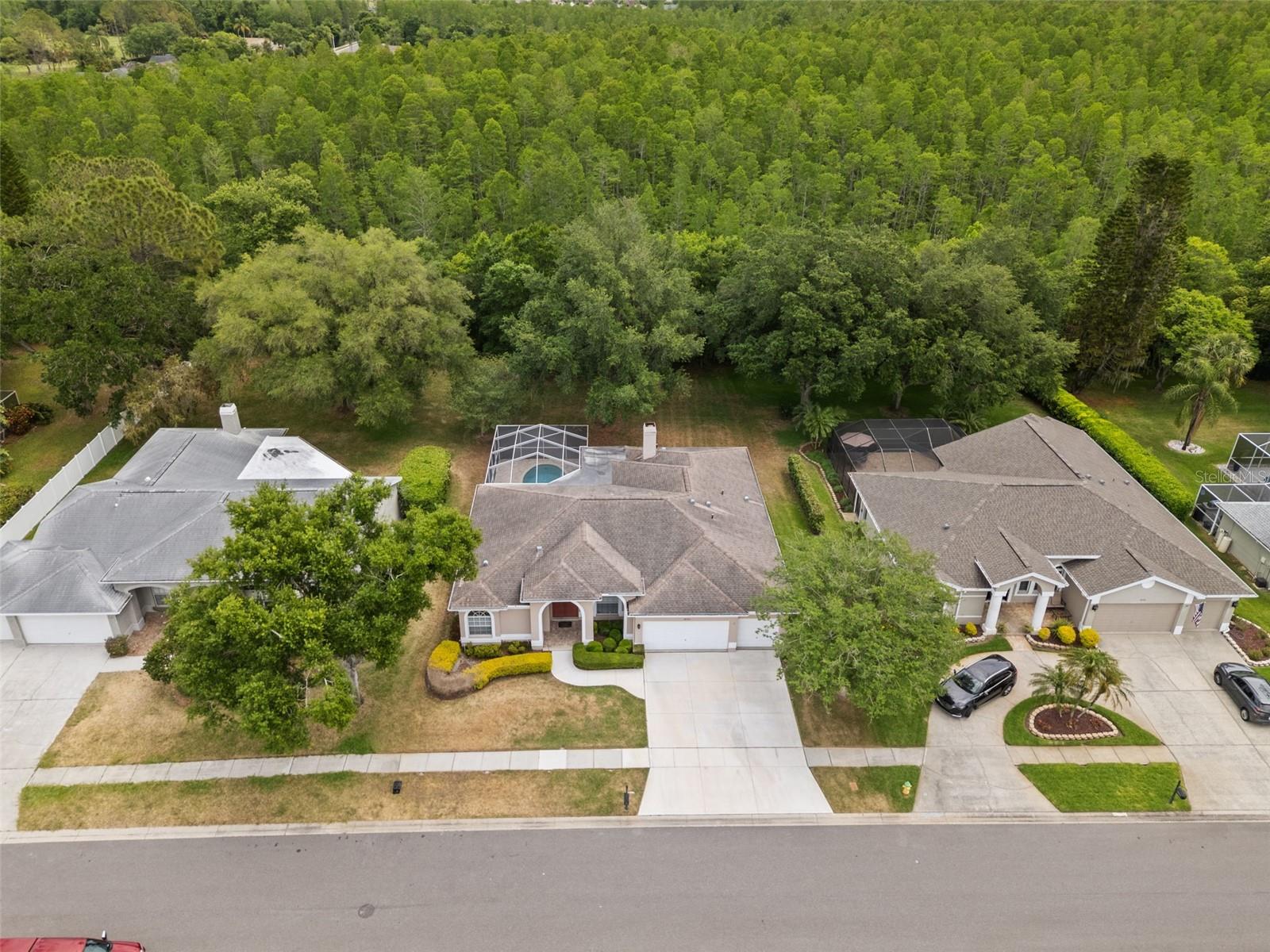 18543 BITTERN AVE, LUTZ, FL, 33558