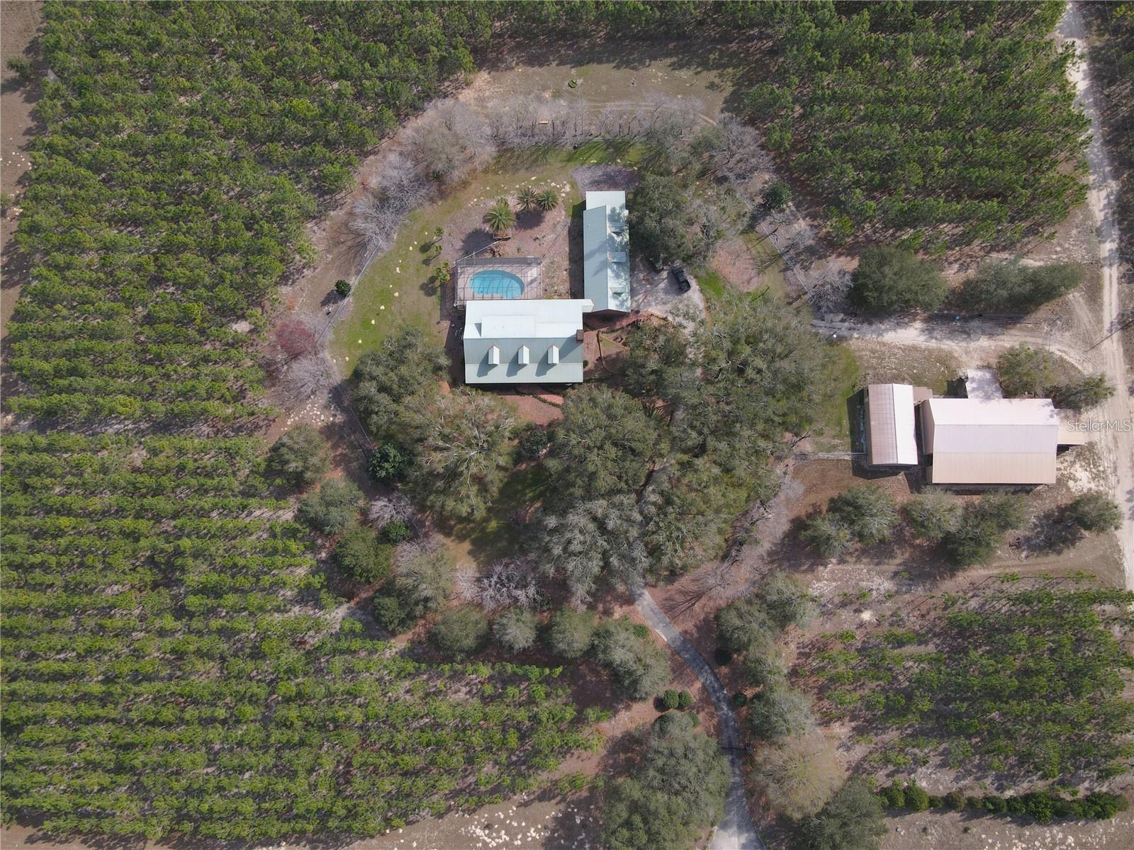 272 NE COUNTY ROAD 337, TRENTON, FL, 32693