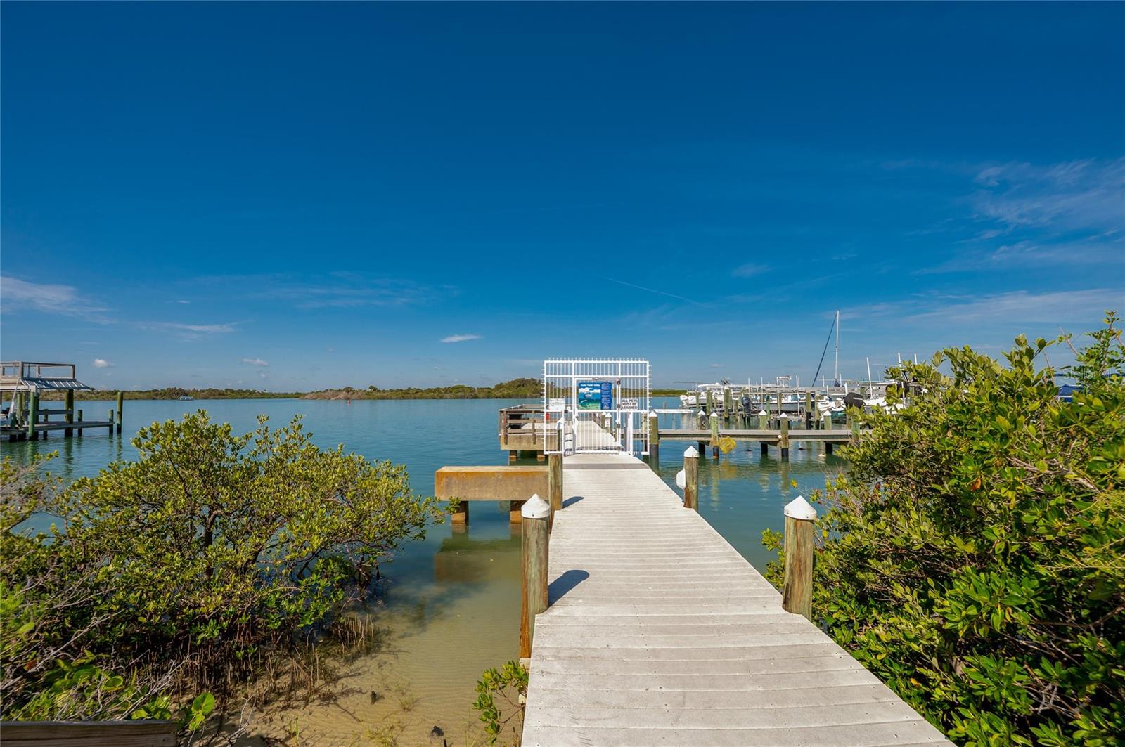 250 MINORCA BEACH WAY #906, NEW SMYRNA BEACH, FL, 32169