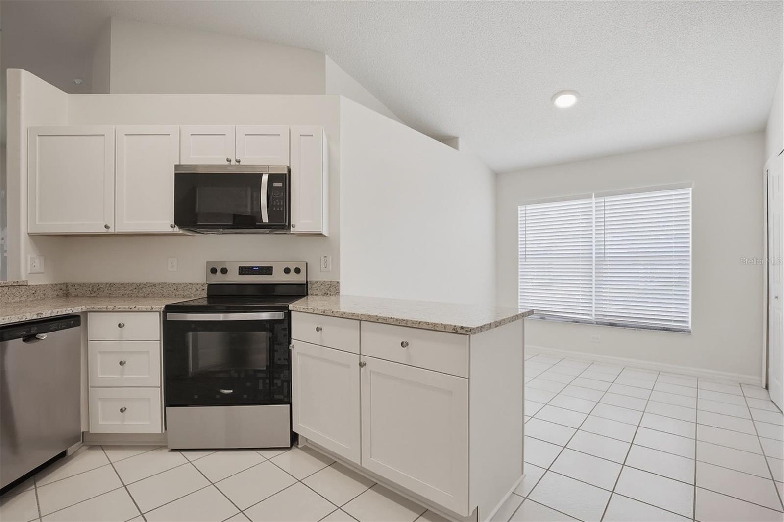 1353 CRIMSON CLOVER LN, WESLEY CHAPEL, FL, 33543