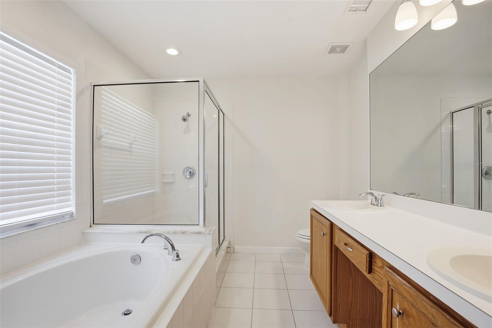 1353 CRIMSON CLOVER LN, WESLEY CHAPEL, FL, 33543