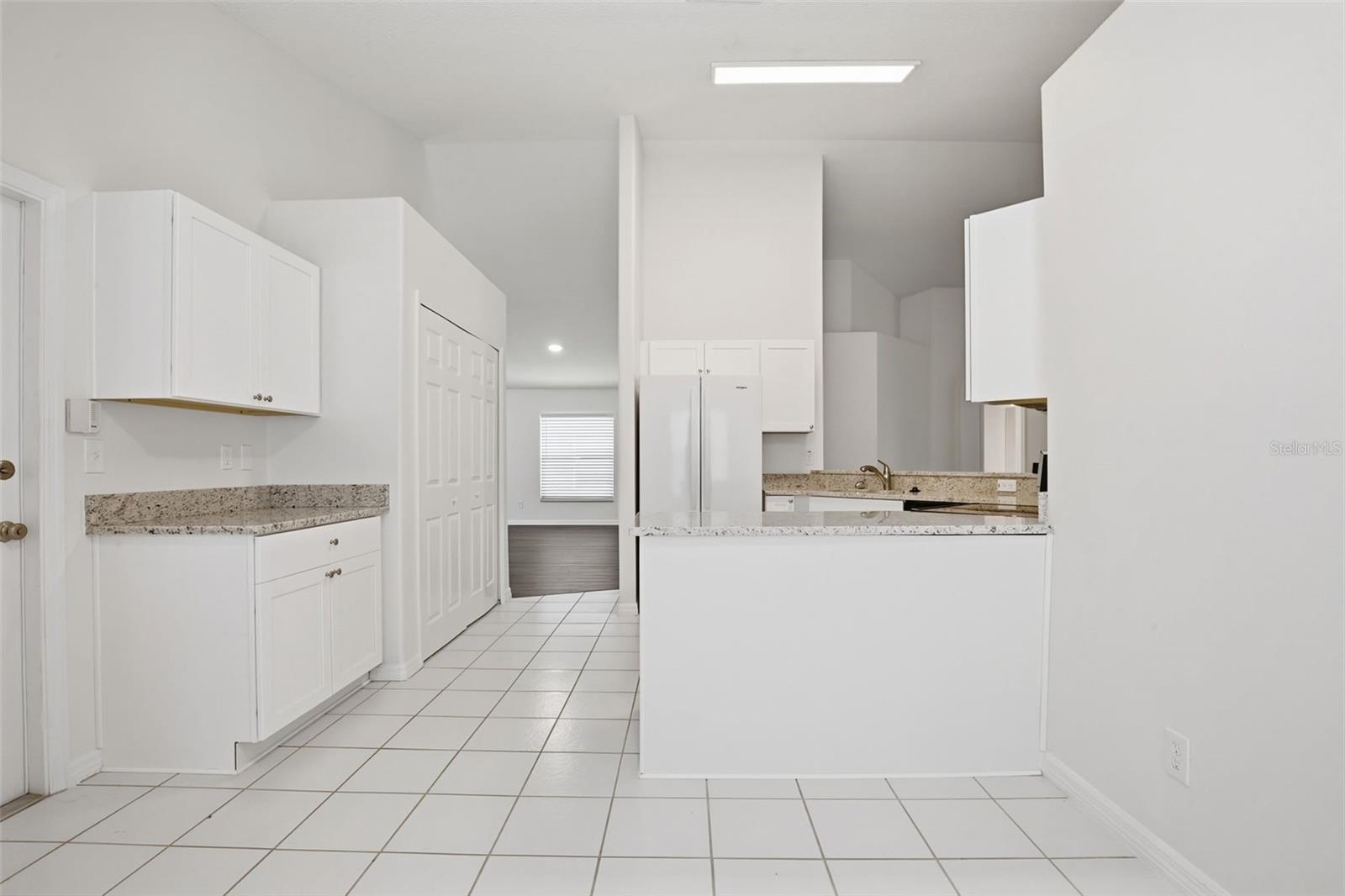 1353 CRIMSON CLOVER LN, WESLEY CHAPEL, FL, 33543