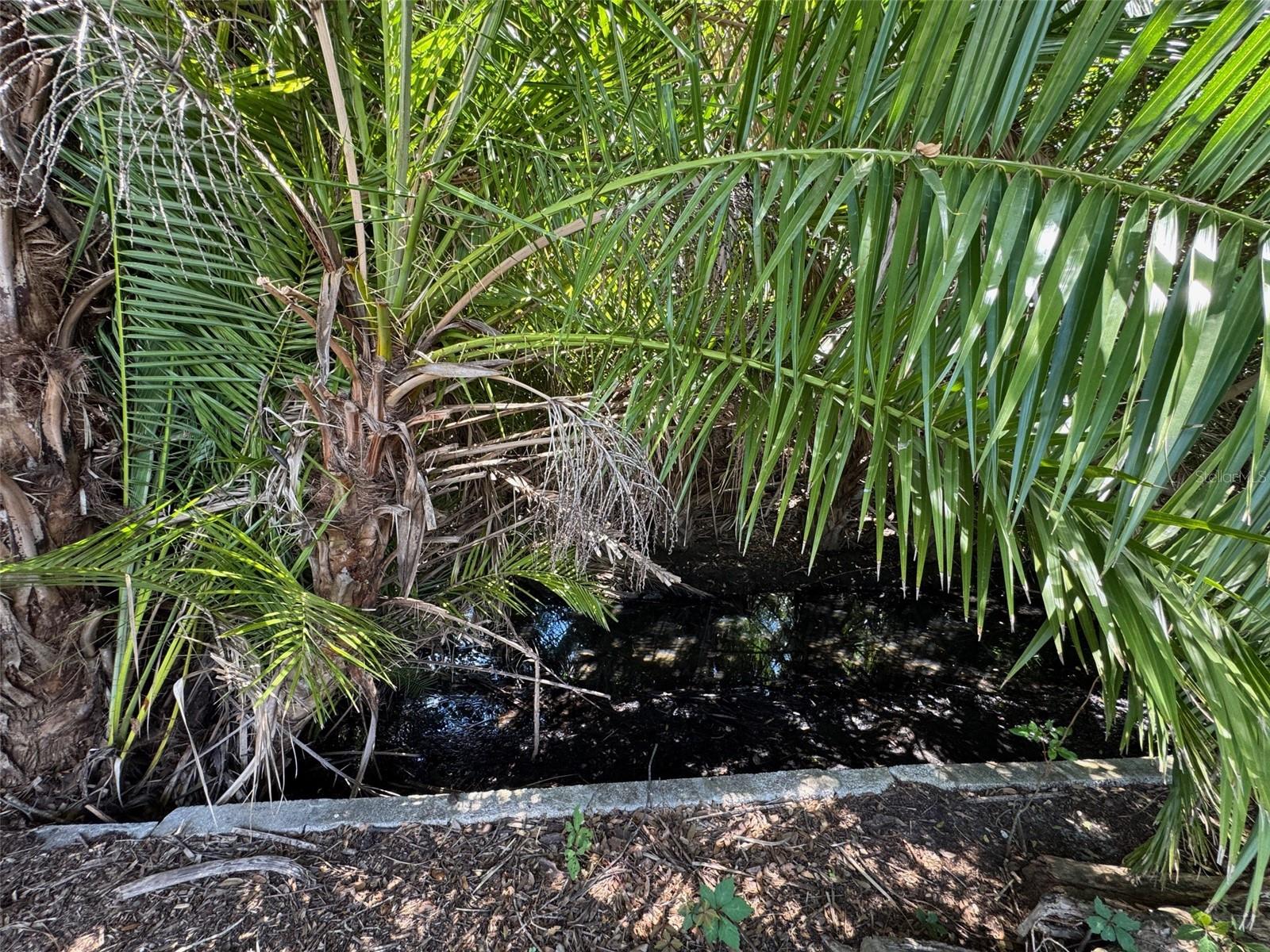 605 MICHIGAN BLVD #122, DUNEDIN, FL, 34698