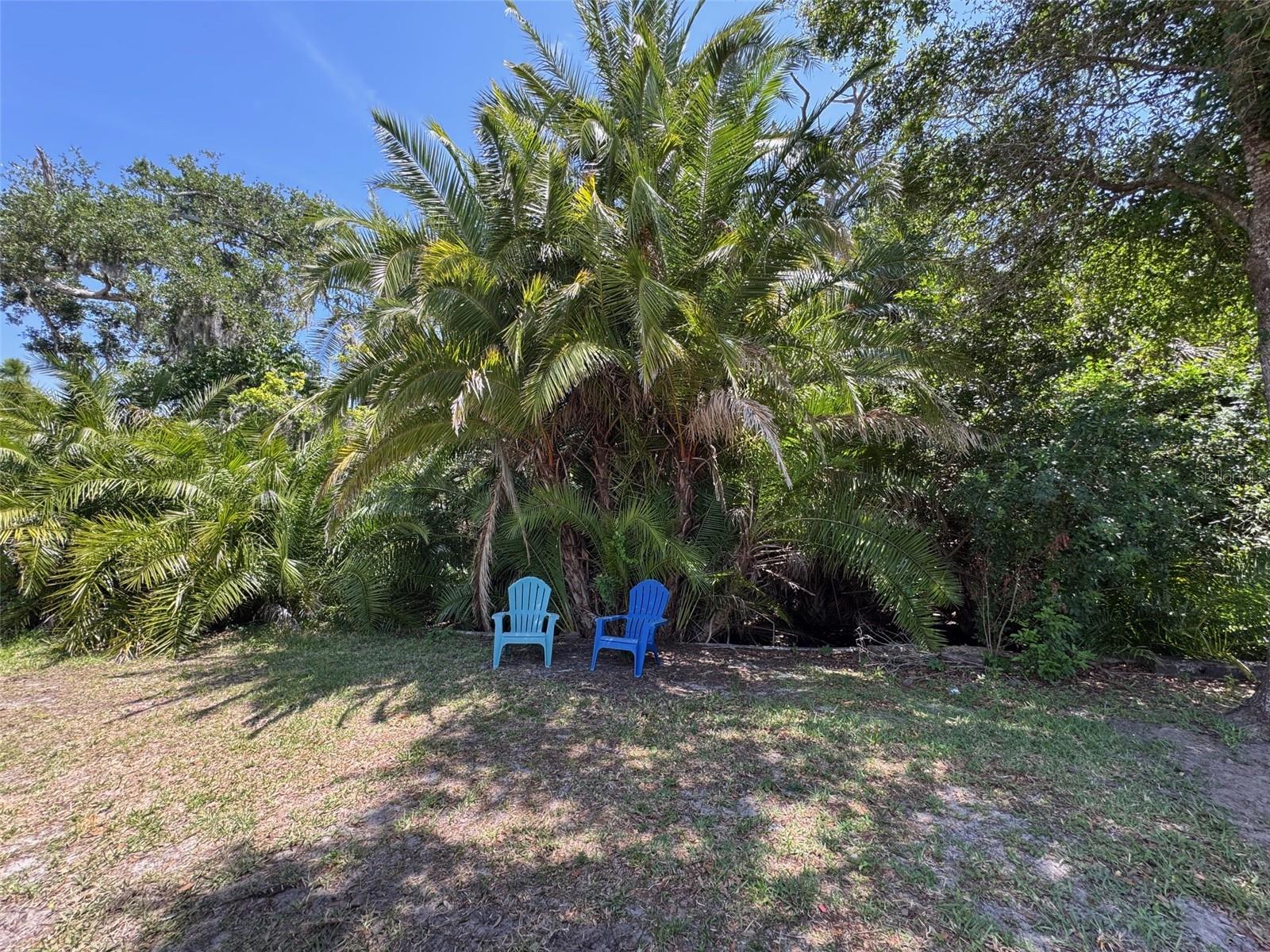 605 MICHIGAN BLVD #122, DUNEDIN, FL, 34698