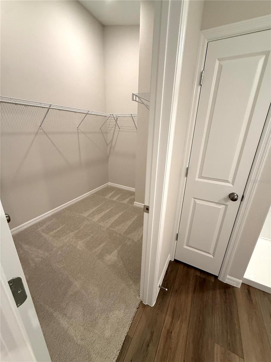 34706 BLOSSOM FALL PATH, ZEPHYRHILLS, FL, 33541