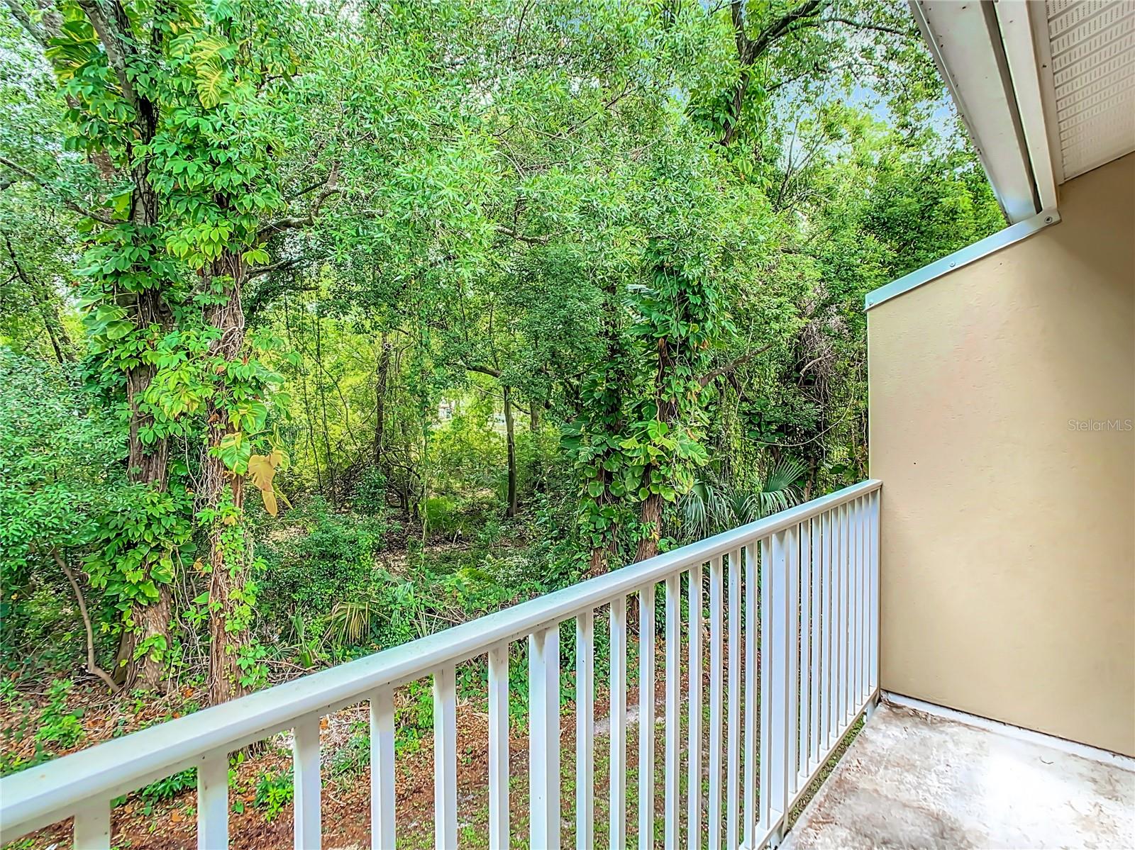 11237 CEDAR HOLLOW LN, TAMPA, FL, 33618