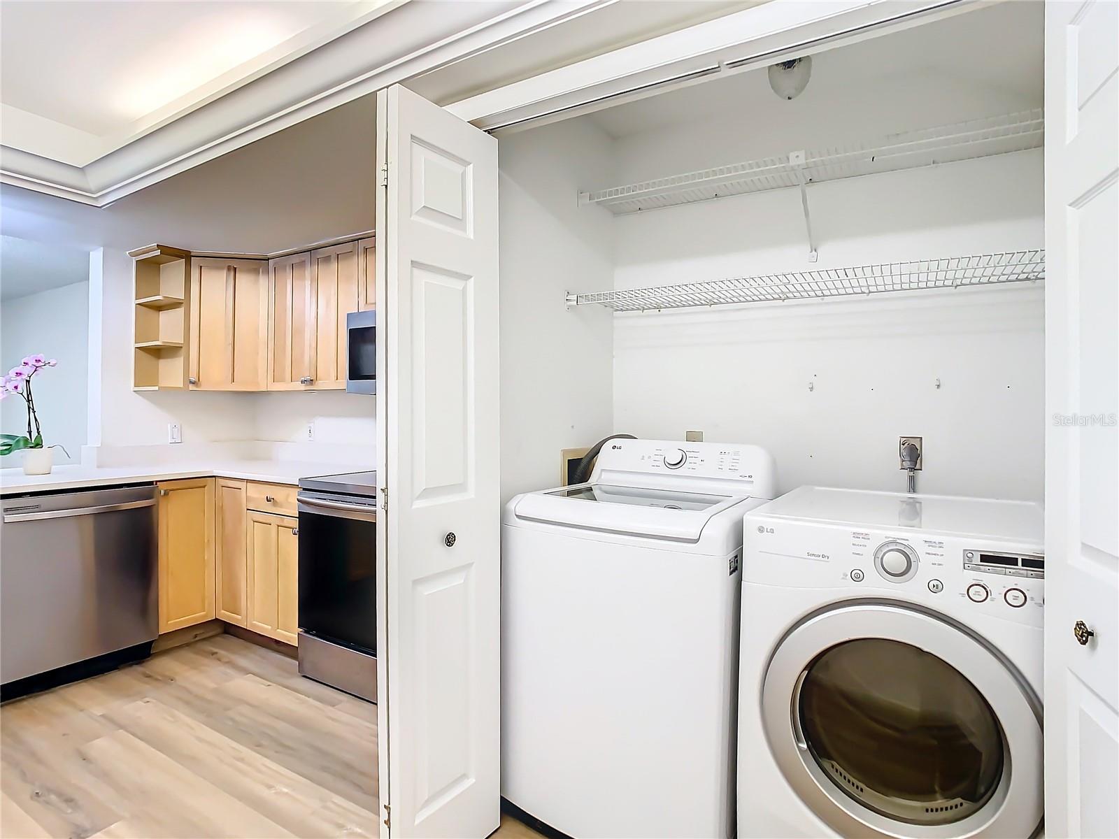 11237 CEDAR HOLLOW LN, TAMPA, FL, 33618