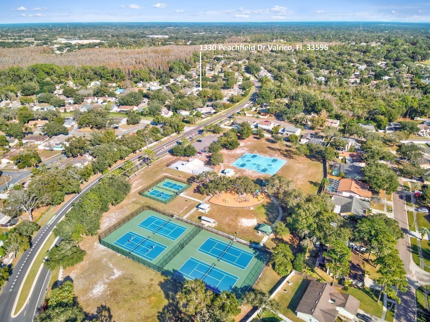 1330 PEACHFIELD DR, VALRICO, FL, 33596