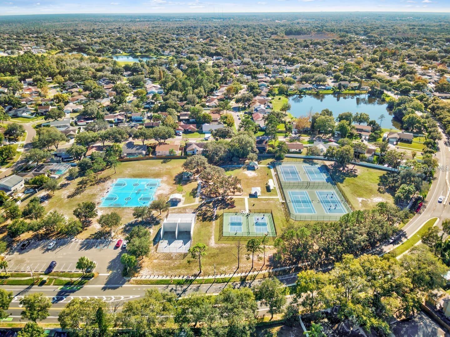 1330 PEACHFIELD DR, VALRICO, FL, 33596