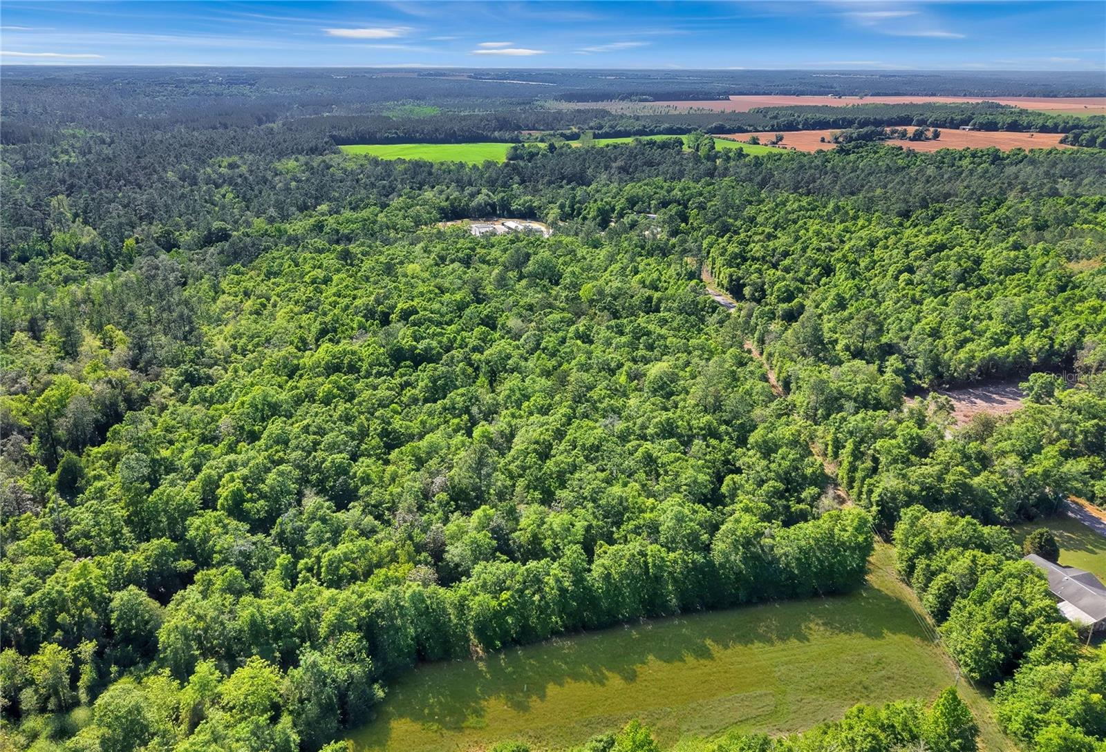 NEAL KENNINGTON/HWY 87 N, MILTON, FL, 32570