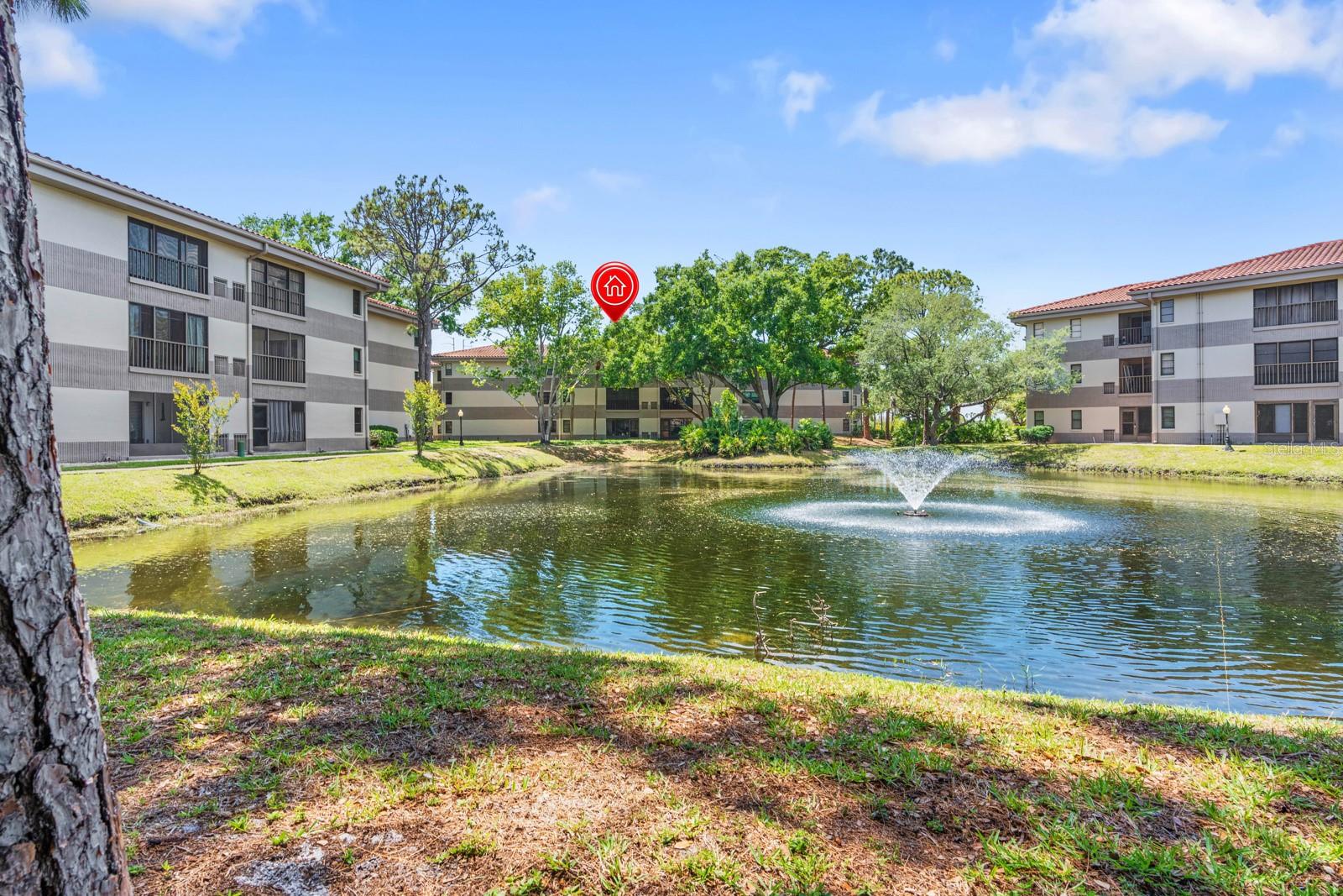 2650 COUNTRYSIDE BLVD #B307, CLEARWATER, FL, 33761