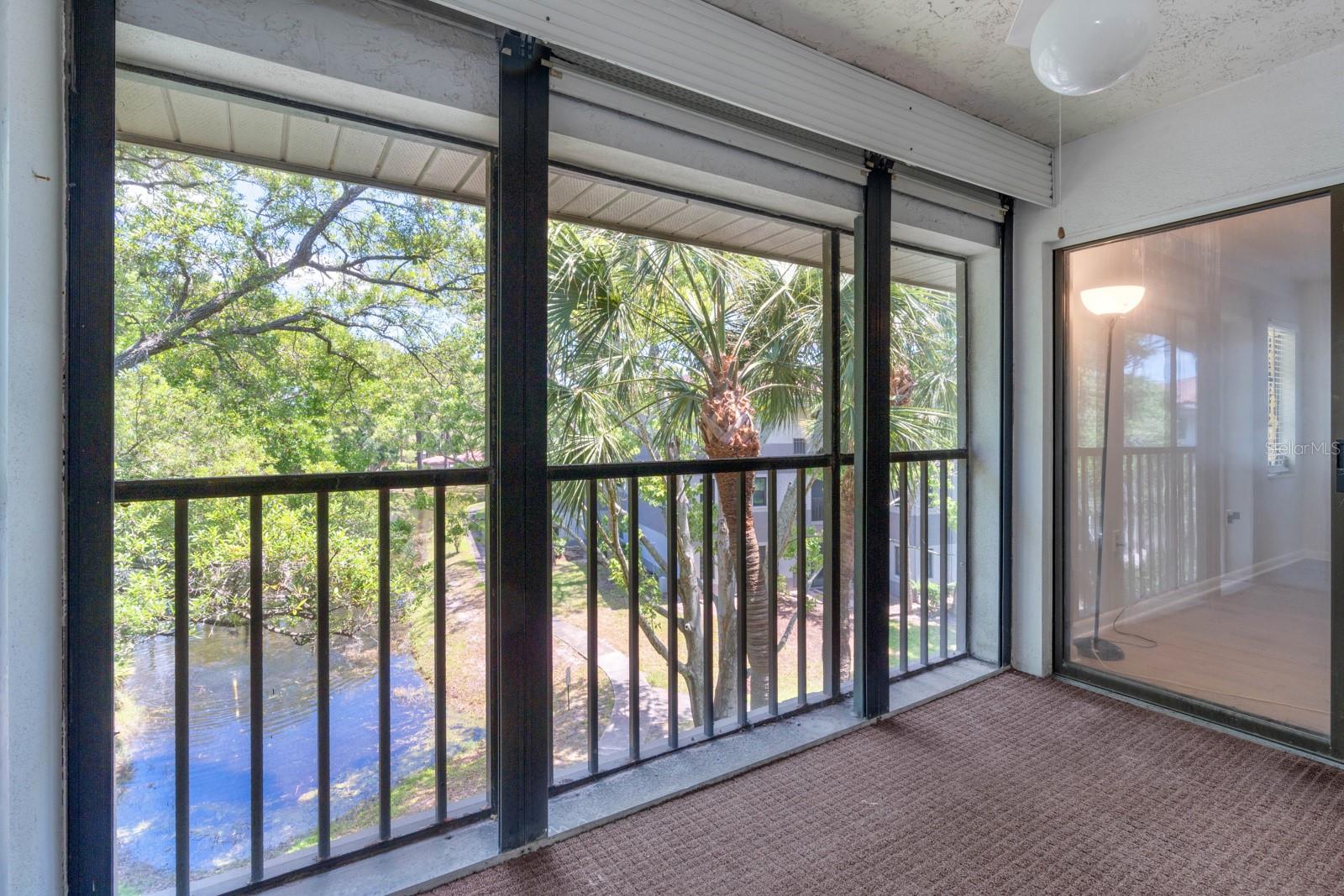 2650 COUNTRYSIDE BLVD #B307, CLEARWATER, FL, 33761