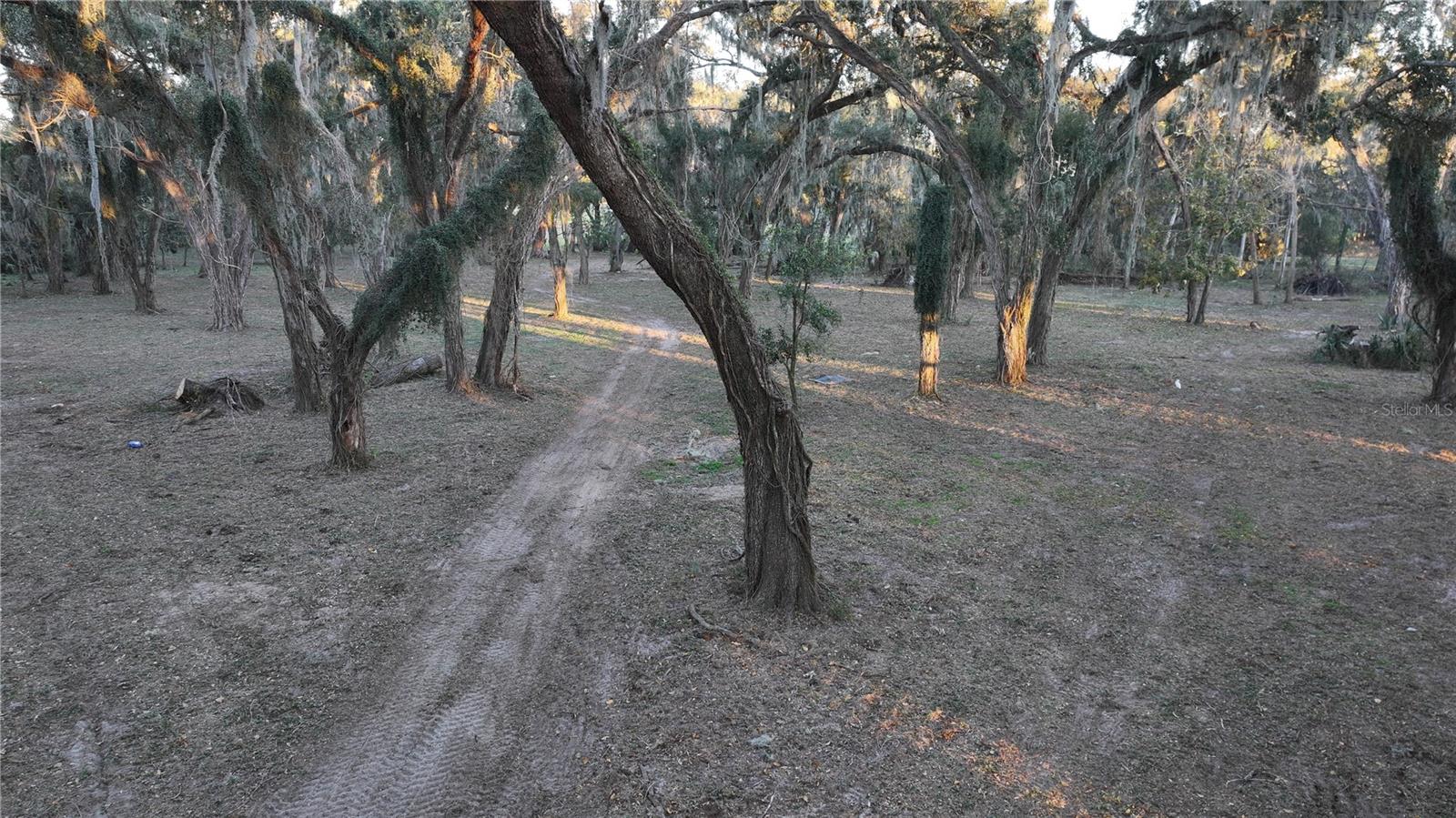 MUCK POND RD, SEFFNER, FL, 33584