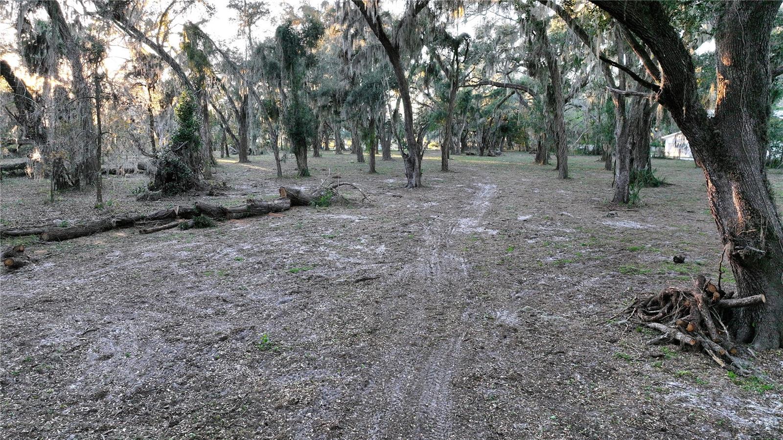 MUCK POND RD, SEFFNER, FL, 33584