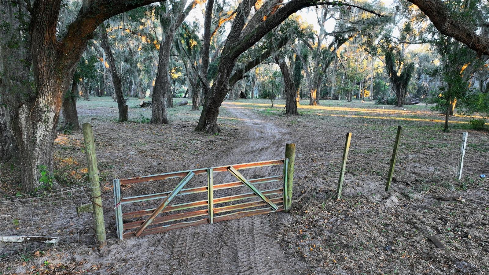 MUCK POND RD, SEFFNER, FL, 33584