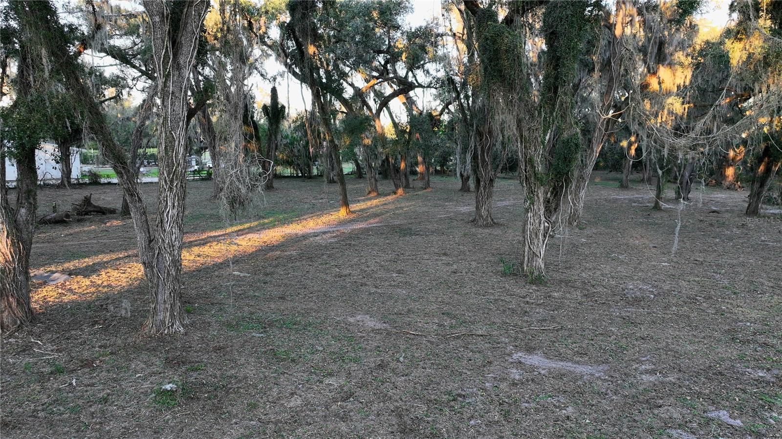 MUCK POND RD, SEFFNER, FL, 33584