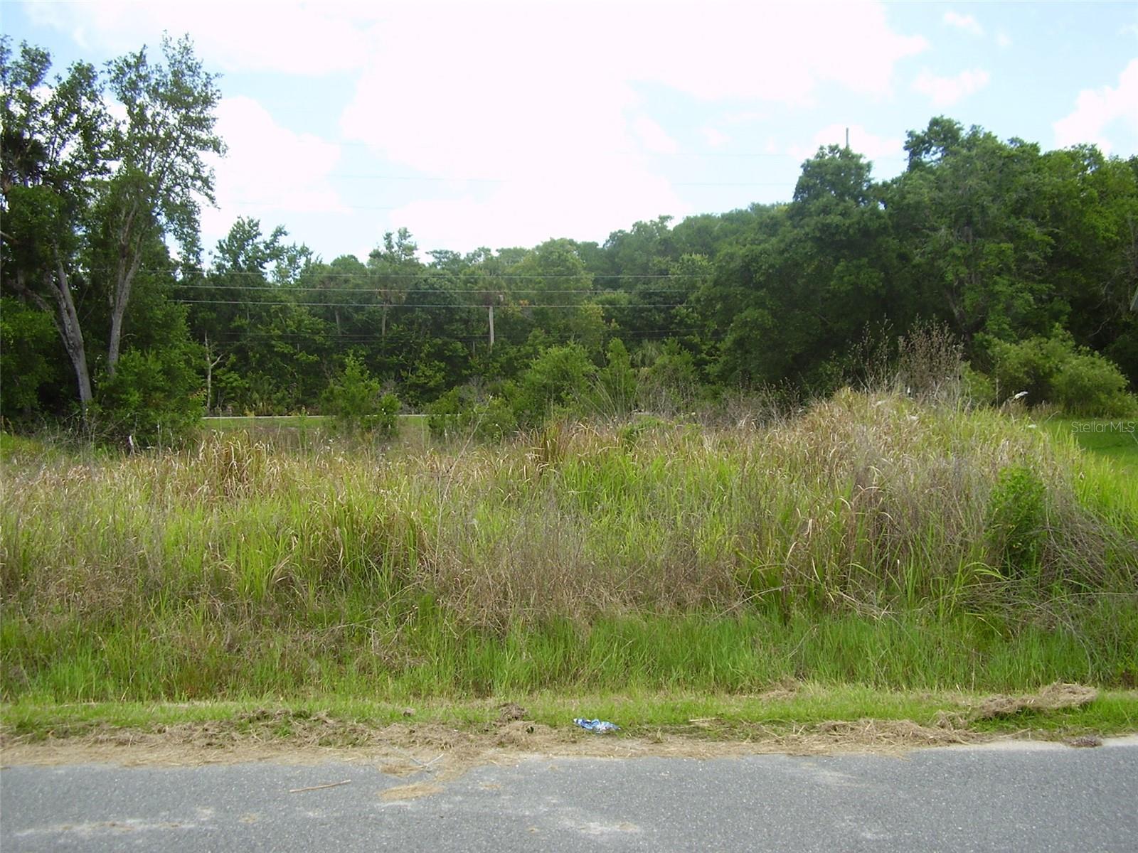 1409 TEAL DR, KISSIMMEE, FL, 34759