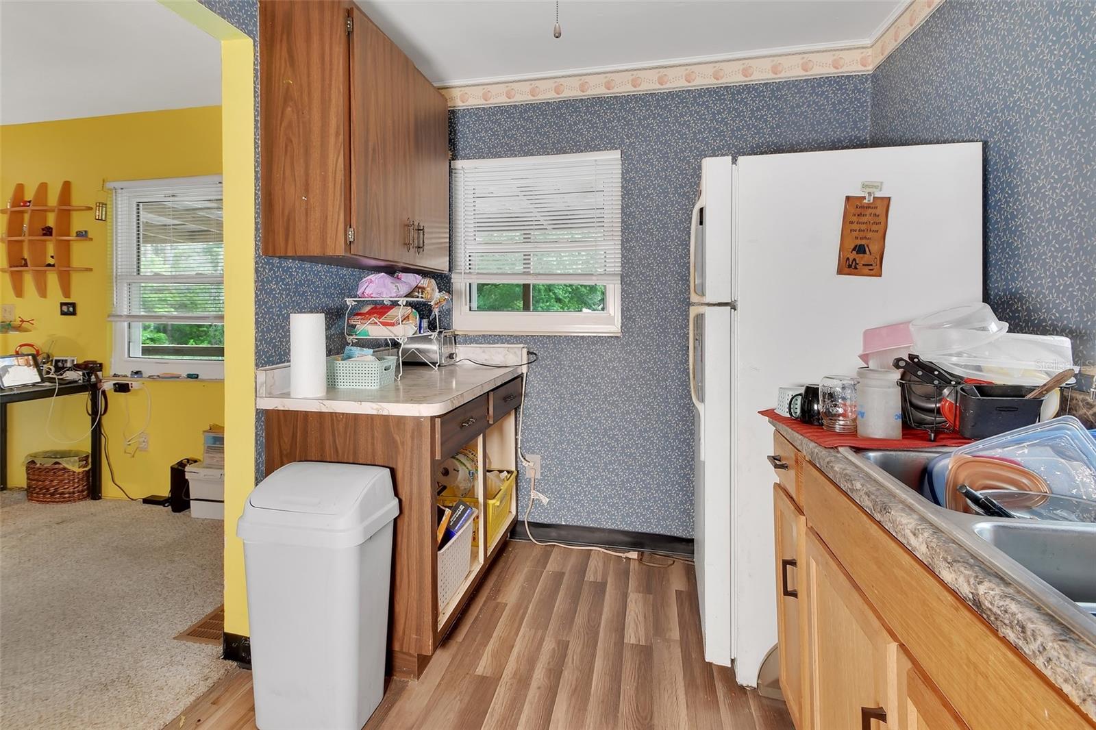 25801 BLUE LAKES DR, PAISLEY, FL, 32767