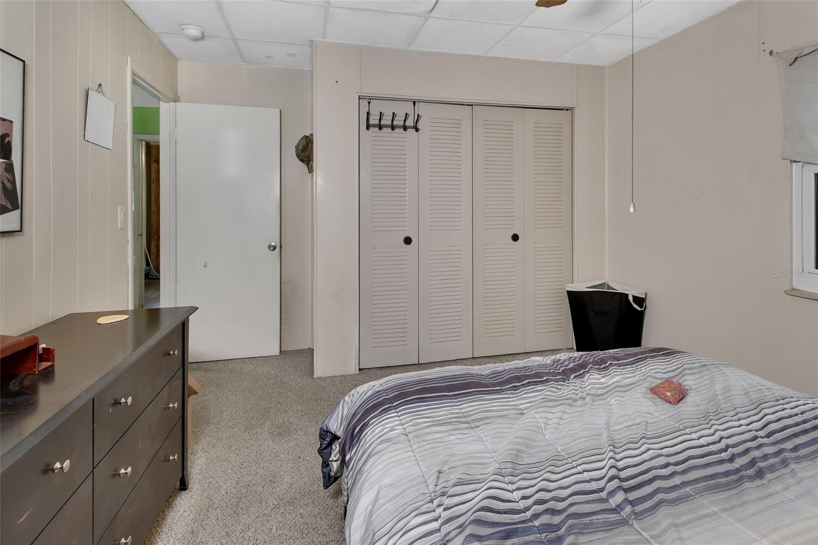 25801 BLUE LAKES DR, PAISLEY, FL, 32767