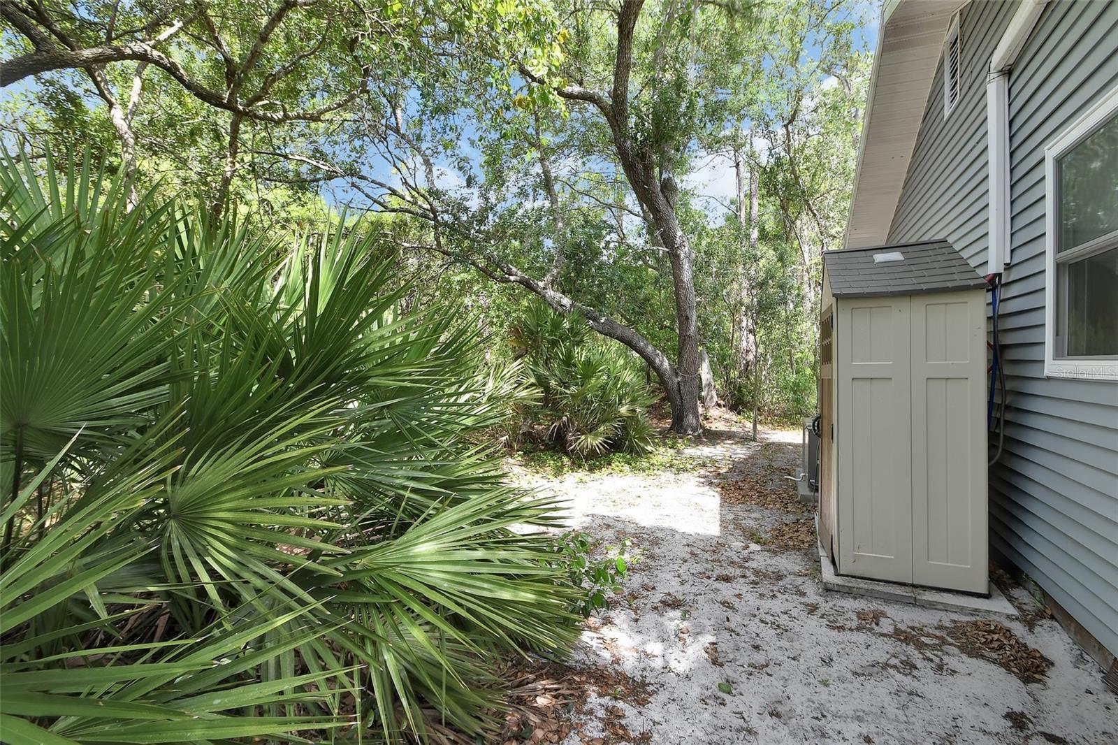 25801 BLUE LAKES DR, PAISLEY, FL, 32767