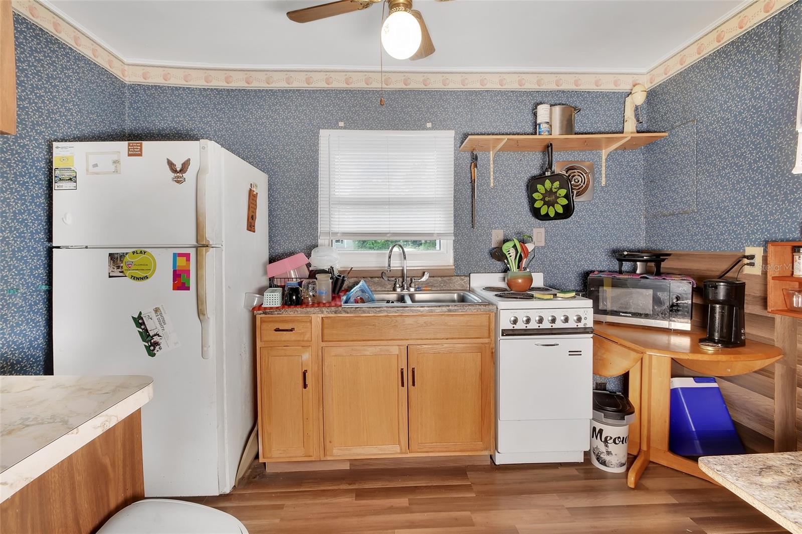 25801 BLUE LAKES DR, PAISLEY, FL, 32767