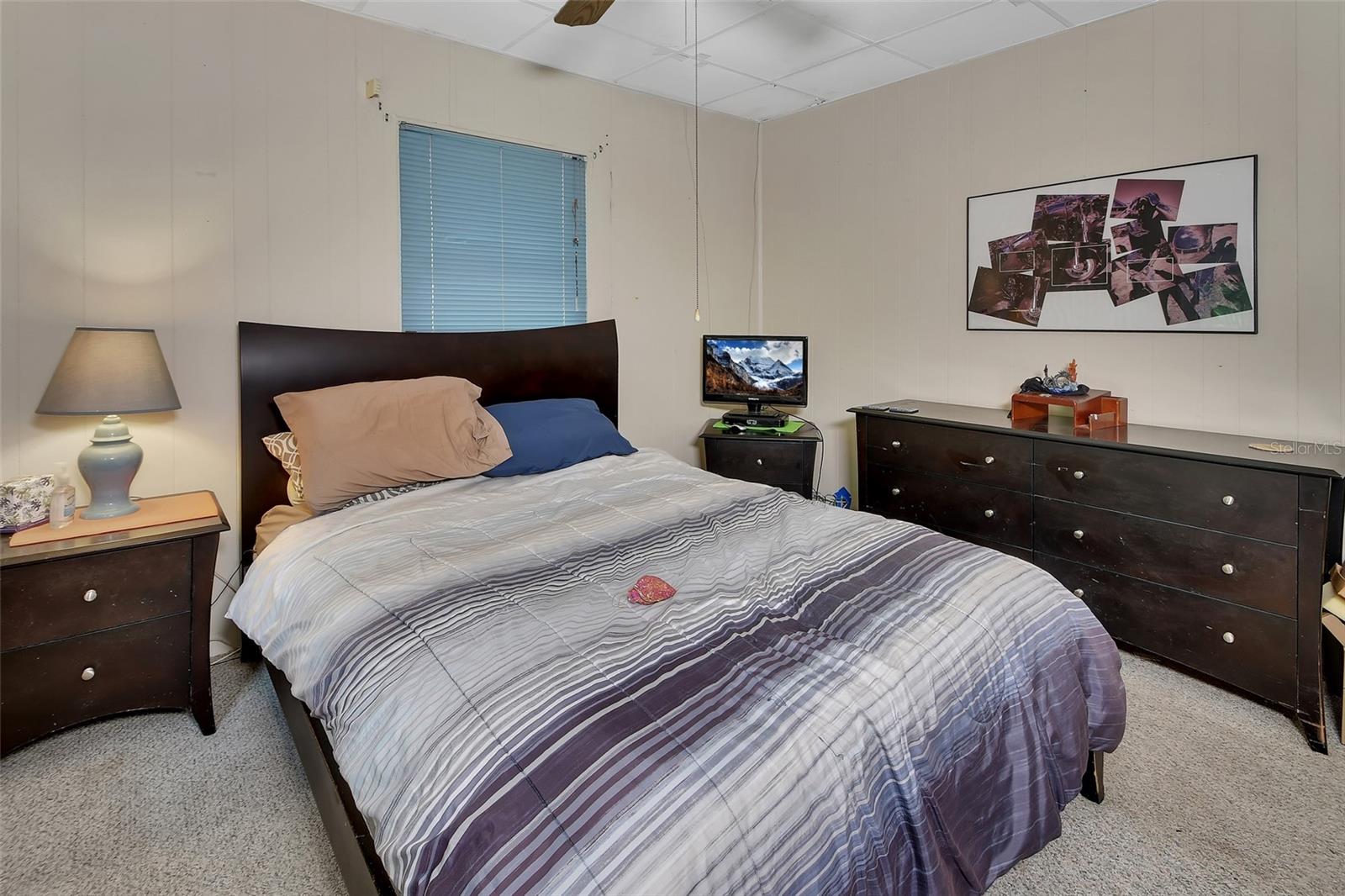 25801 BLUE LAKES DR, PAISLEY, FL, 32767