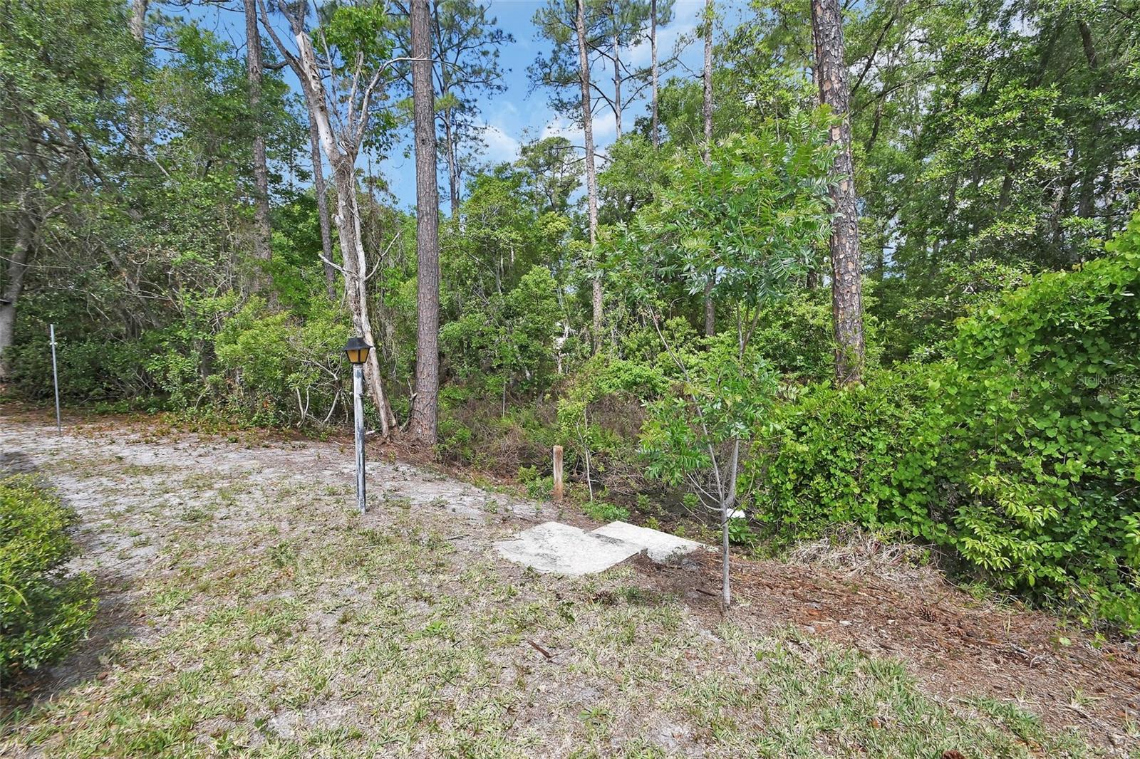 25801 BLUE LAKES DR, PAISLEY, FL, 32767