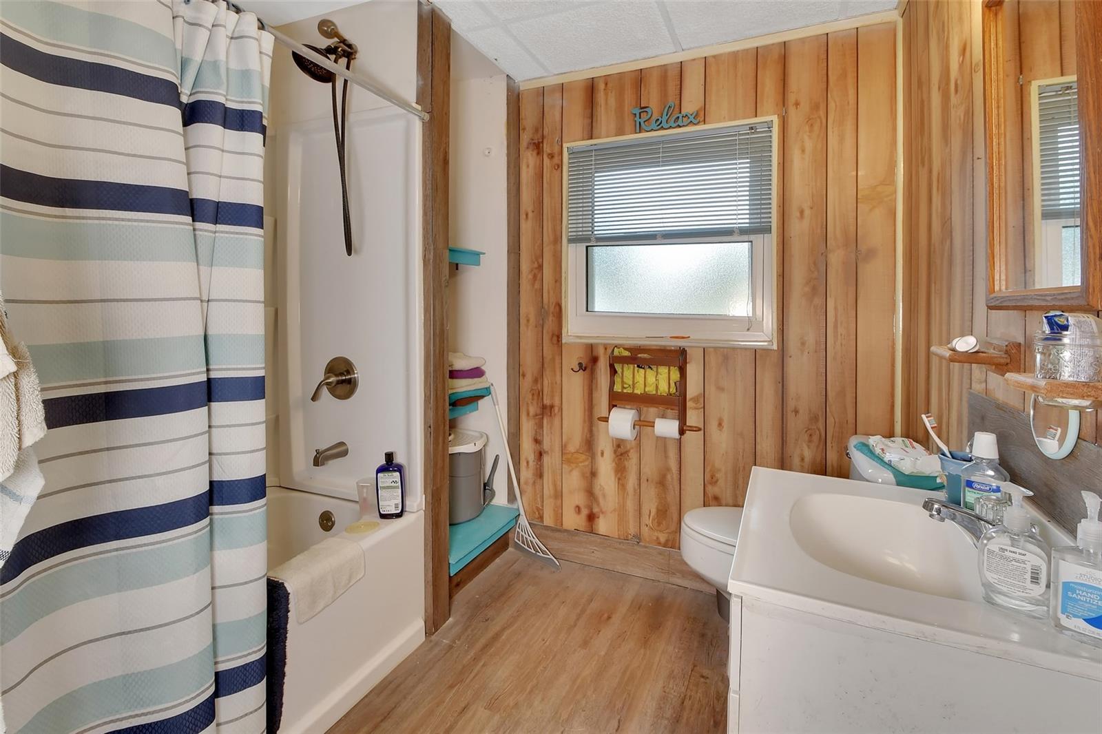 25801 BLUE LAKES DR, PAISLEY, FL, 32767