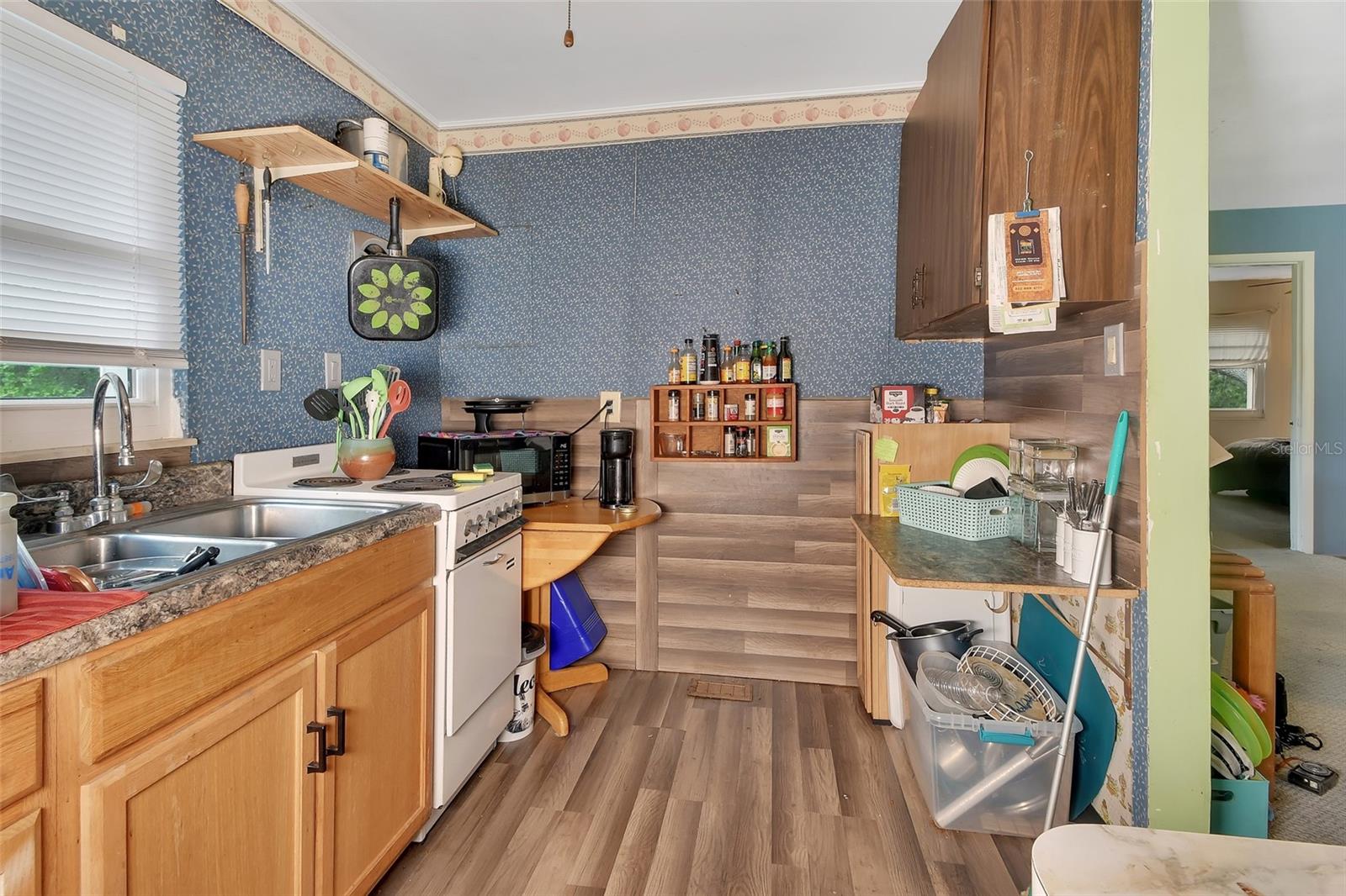 25801 BLUE LAKES DR, PAISLEY, FL, 32767