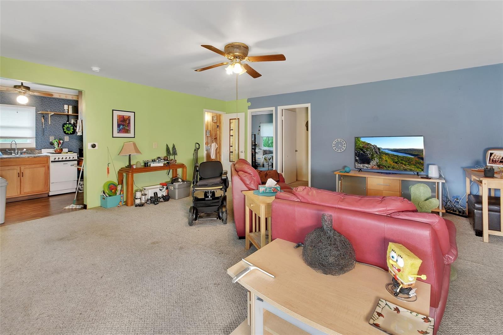 25801 BLUE LAKES DR, PAISLEY, FL, 32767