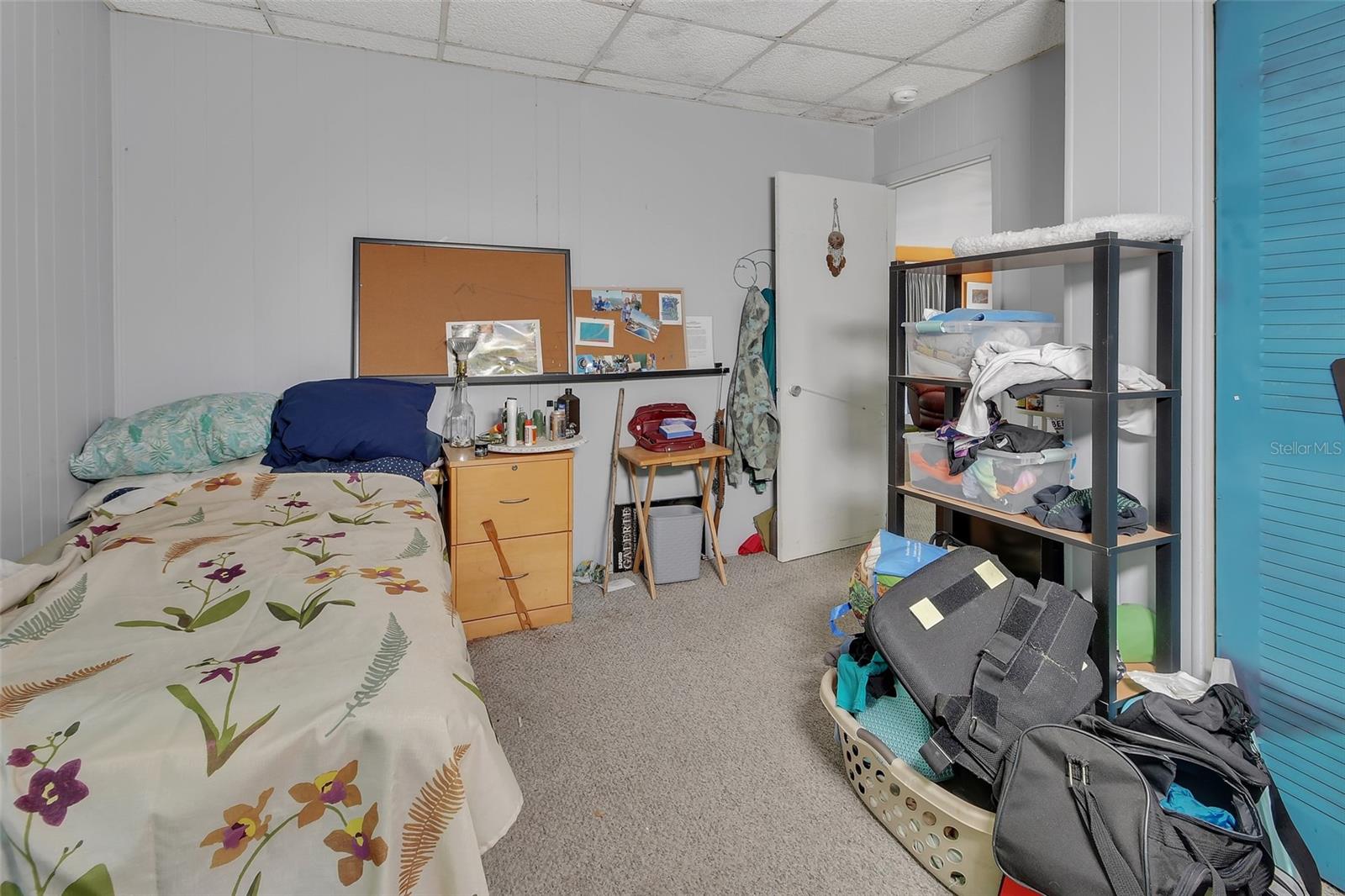 25801 BLUE LAKES DR, PAISLEY, FL, 32767