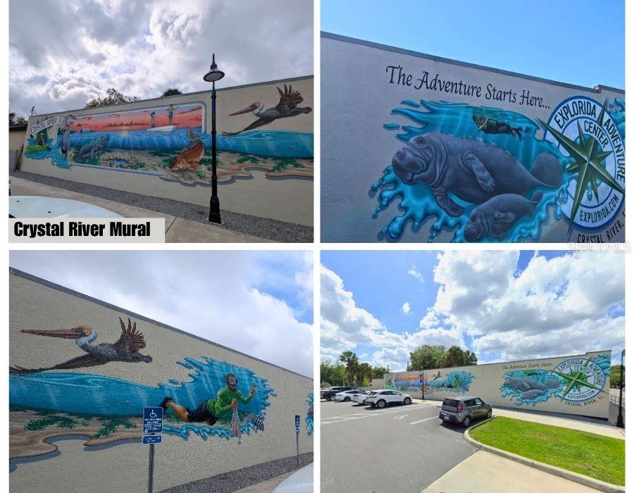 9421 N BEECHTREE WAY, CRYSTAL RIVER, FL, 34428