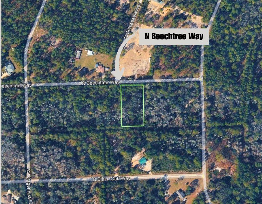 9421 N BEECHTREE WAY, CRYSTAL RIVER, FL, 34428