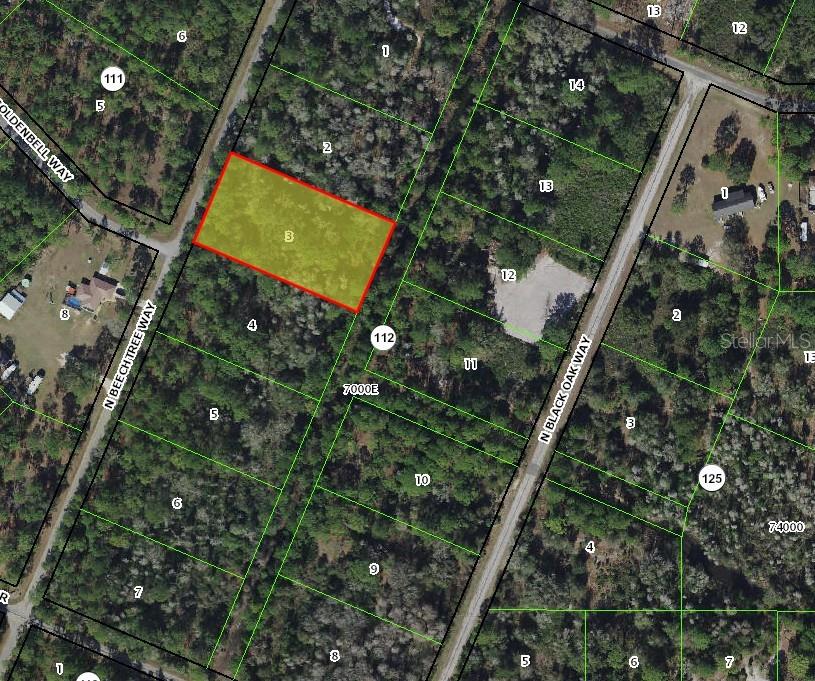 9421 N BEECHTREE WAY, CRYSTAL RIVER, FL, 34428