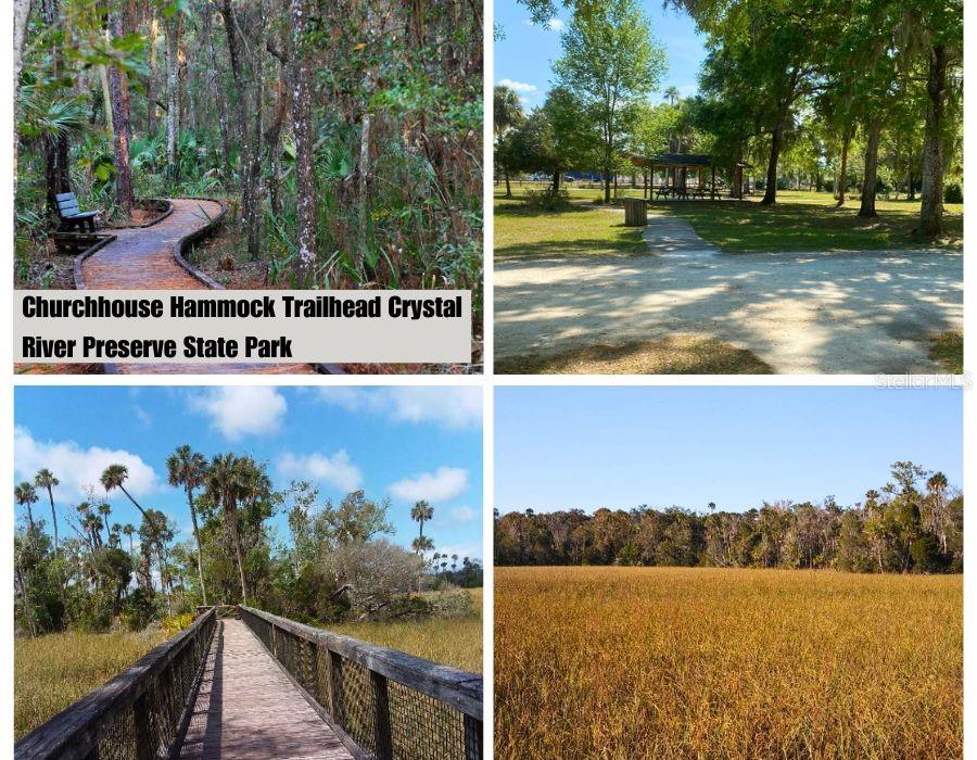 9421 N BEECHTREE WAY, CRYSTAL RIVER, FL, 34428