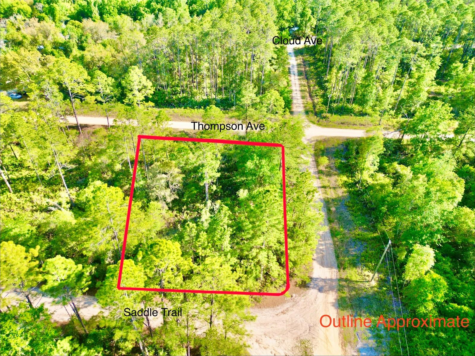 125 SADDLE TRL, INTERLACHEN, FL, 32148