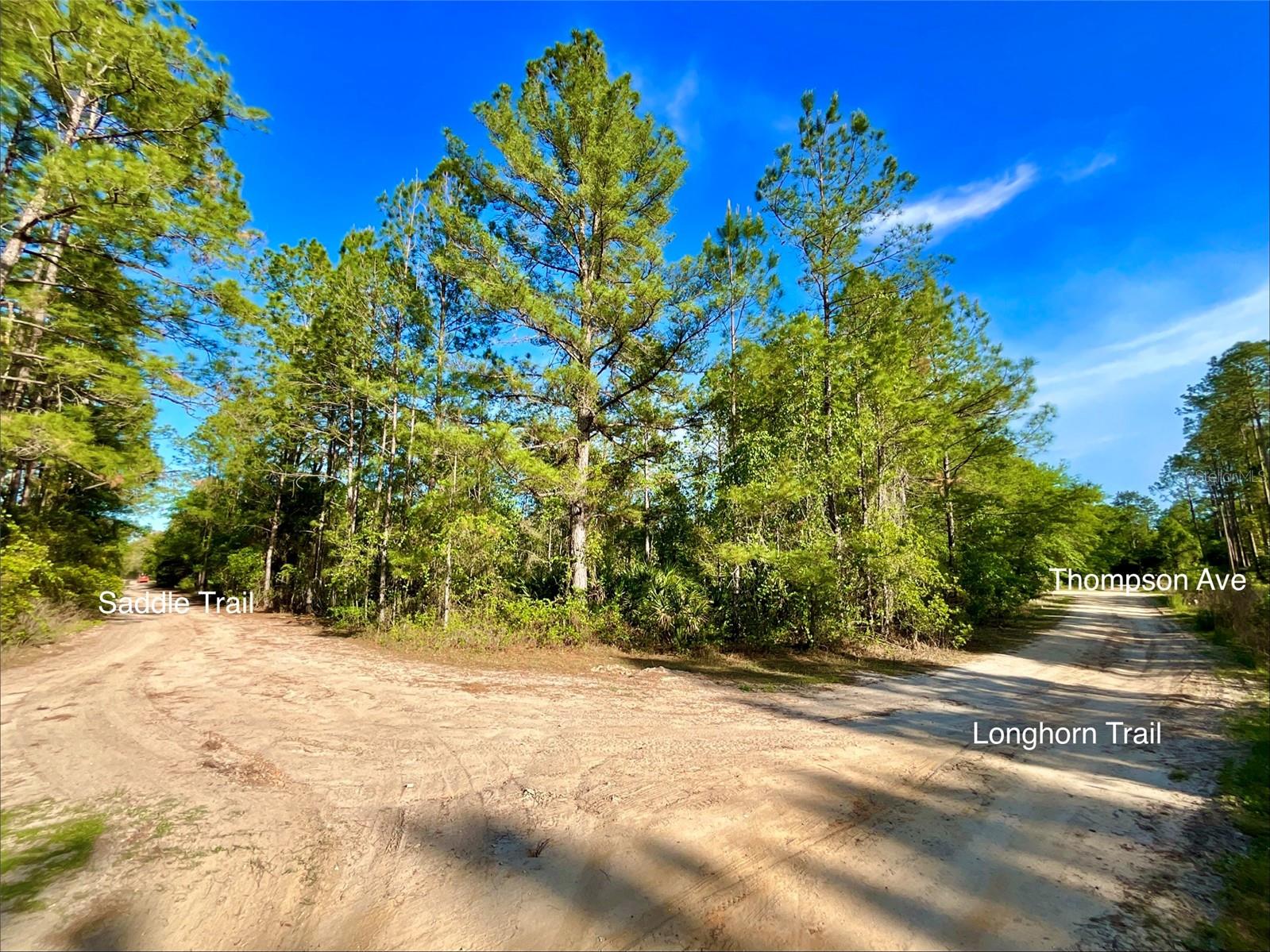 125 SADDLE TRL, INTERLACHEN, FL, 32148