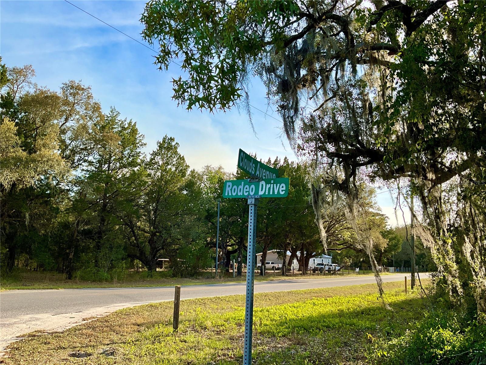 125 SADDLE TRL, INTERLACHEN, FL, 32148