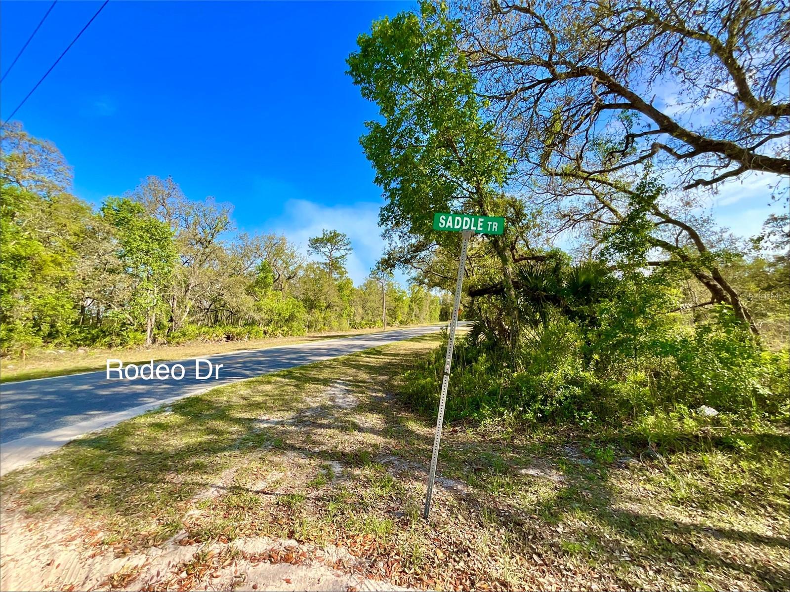 125 SADDLE TRL, INTERLACHEN, FL, 32148