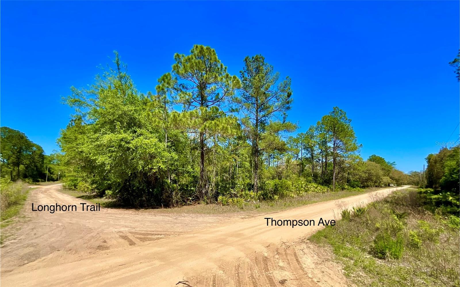 125 SADDLE TRL, INTERLACHEN, FL, 32148