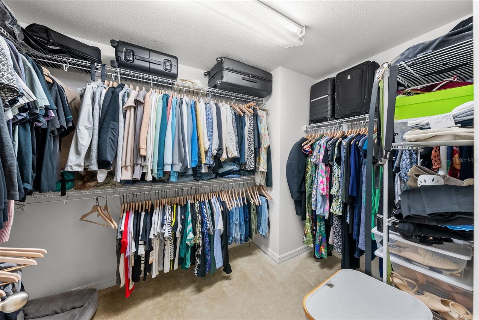 3401 W OAKELLAR AVE, TAMPA, FL, 33611