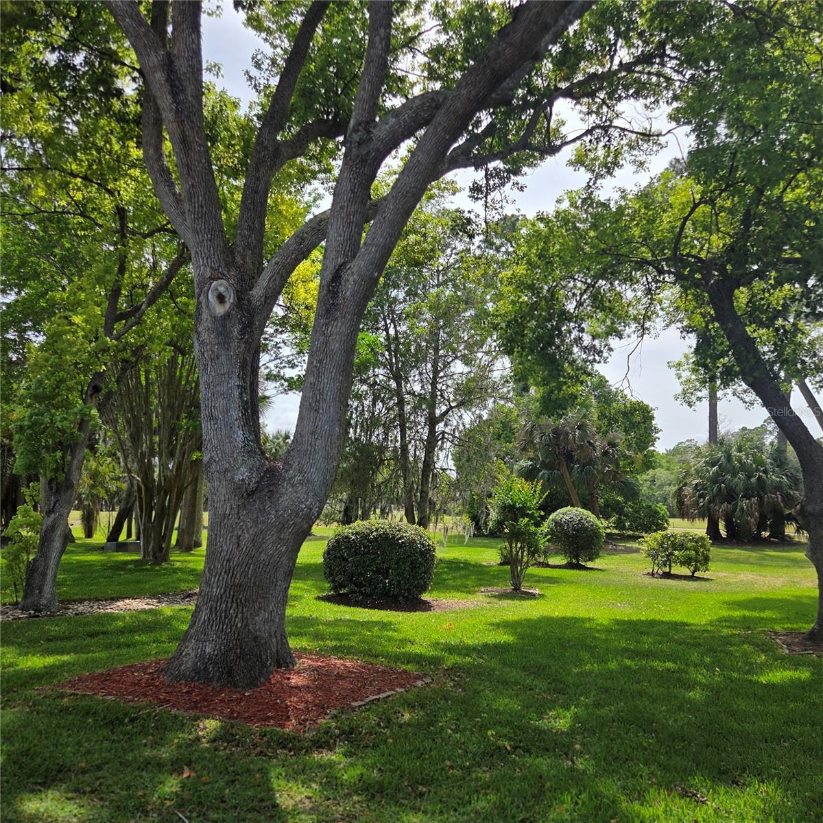 15 COLE PL, PALM COAST, FL, 32137